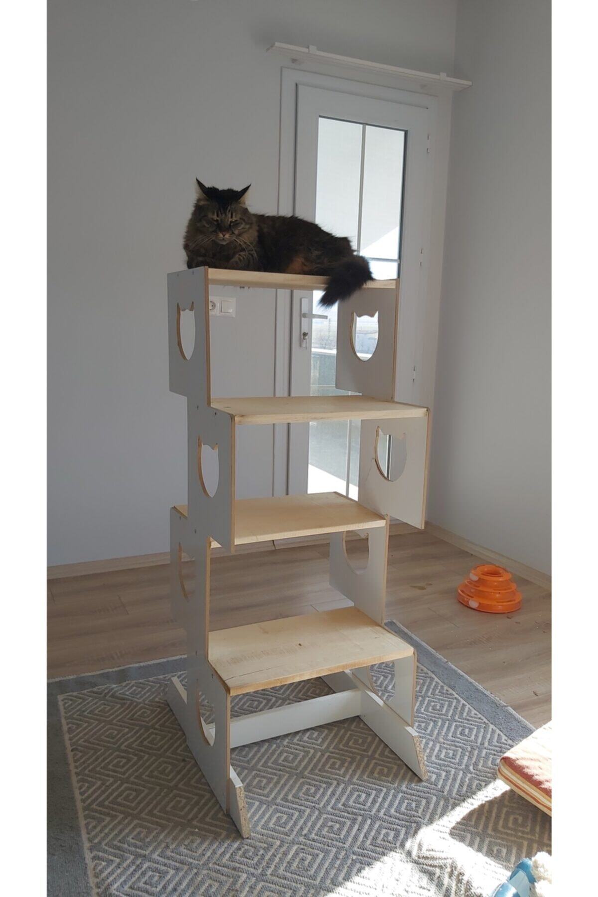 Akın Usta Kedi Kulesi