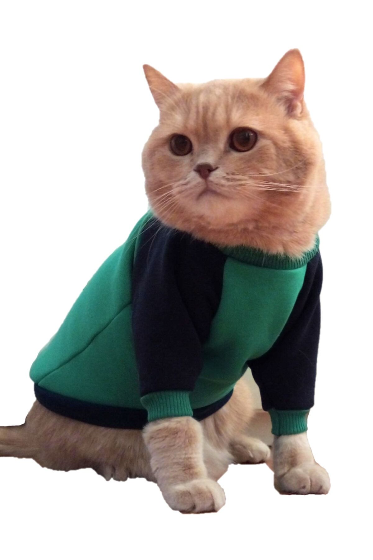 stylie Içi Polarlı Kışlık Kedi Giysisi, Yeşil Lacivert, M Beden, 3-4 Kg