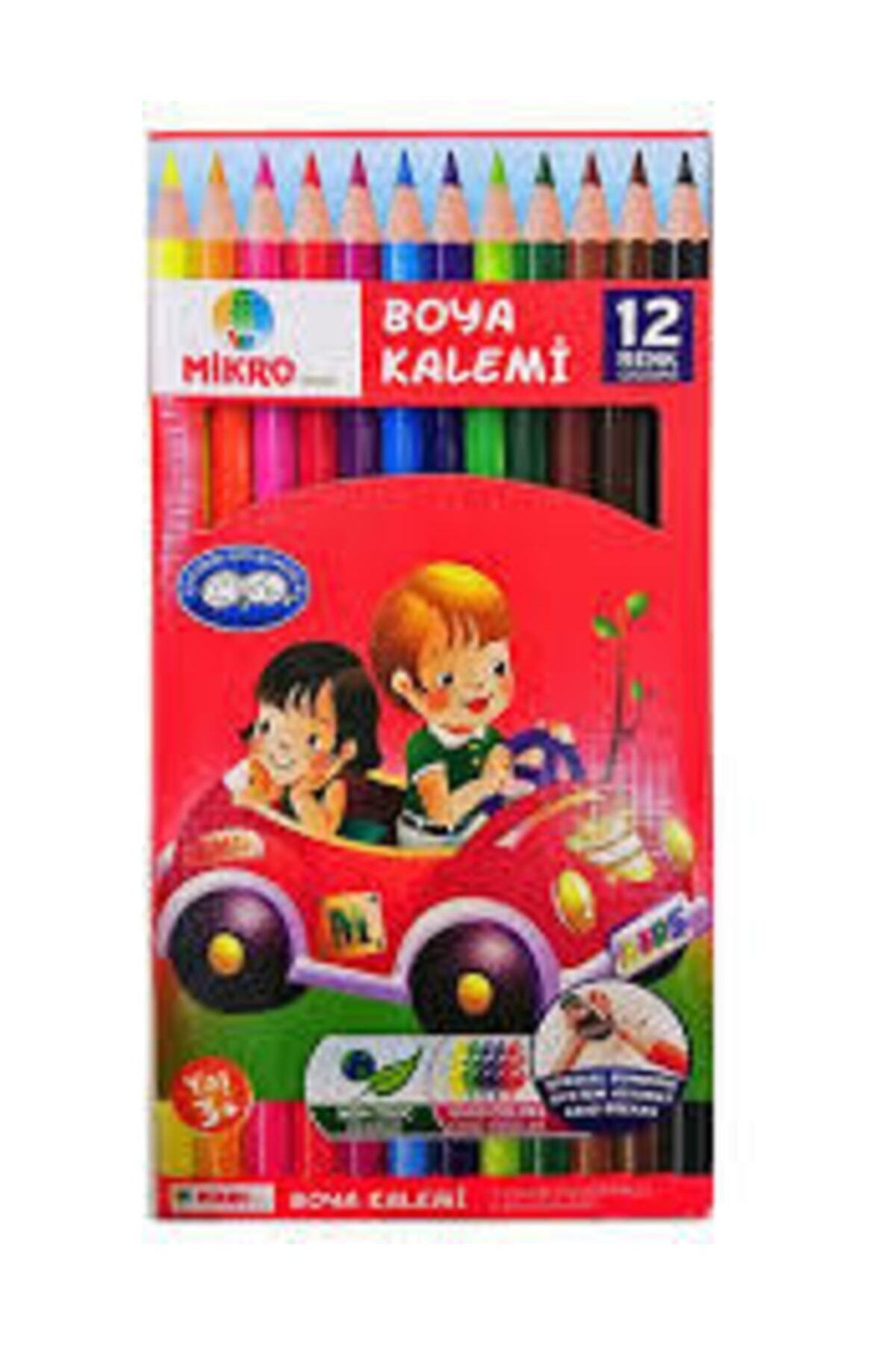 MİKROGOLD 12'li Boyama Kalemi Boya