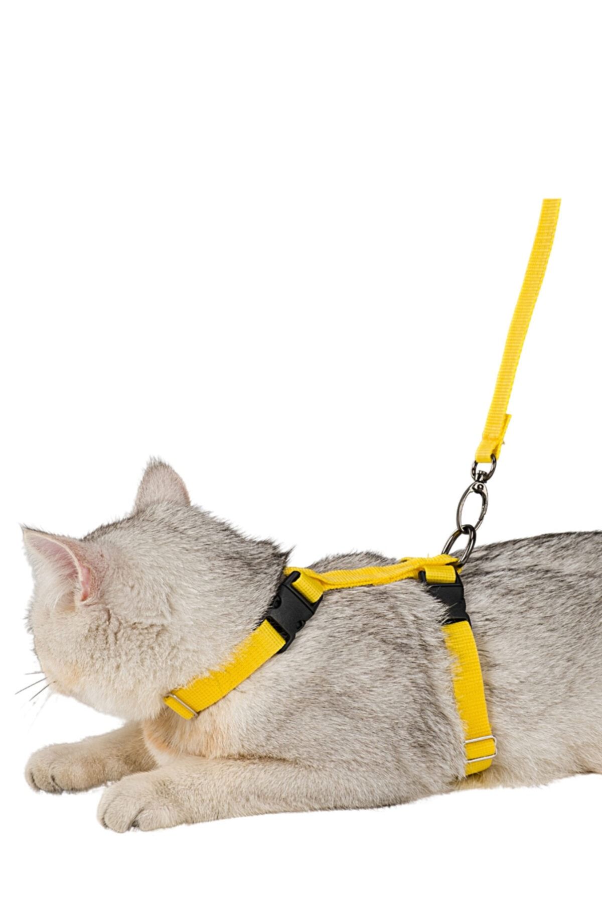 Viselia Kedi Tasması Boyun Göğüs Ayarlanabilir Sevk Kayışlı Gezdirme Seti