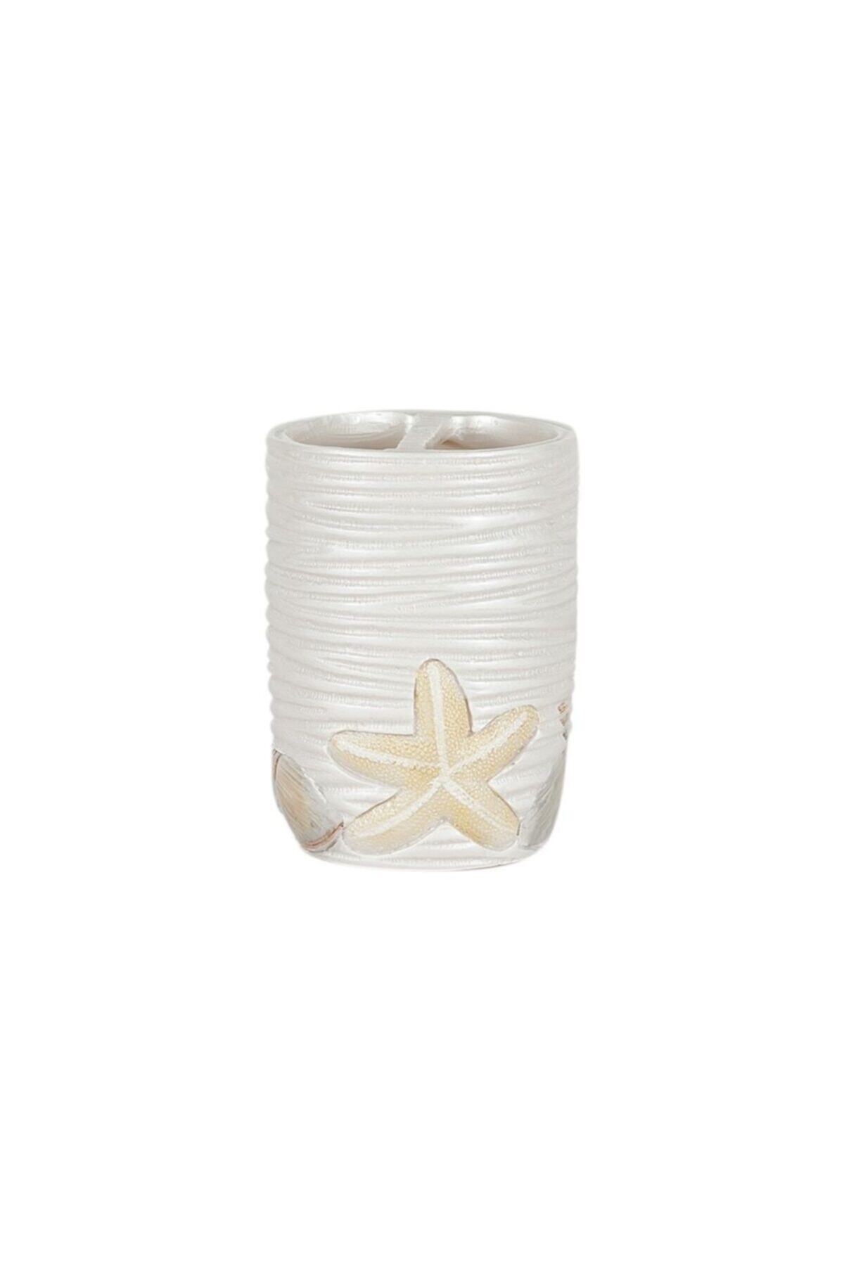 EVGARAJ Seyşel Diş Fırçalık Banyo Aksesuar