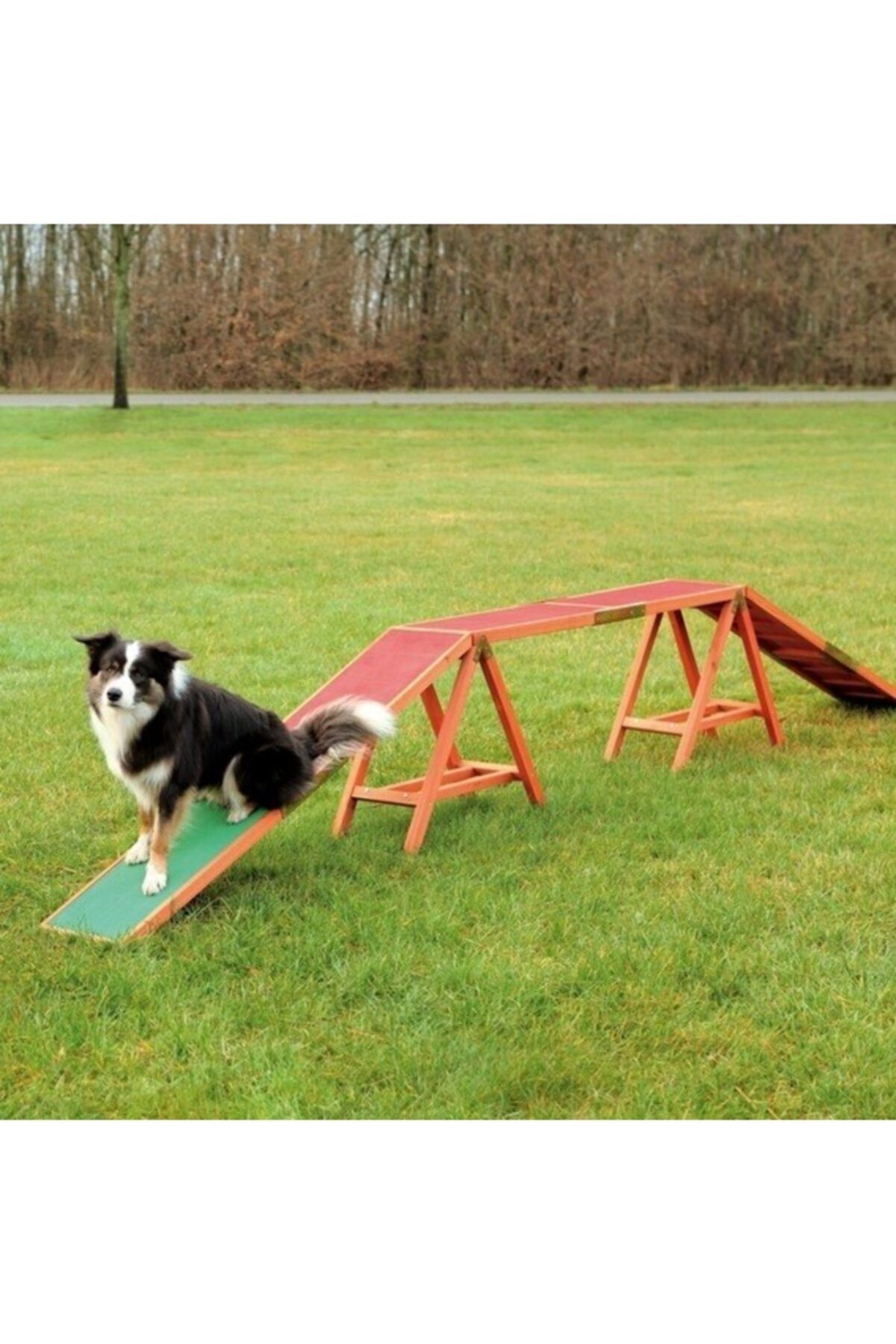 Trixie Köpek Agility Köprüsü 456x64x30cm