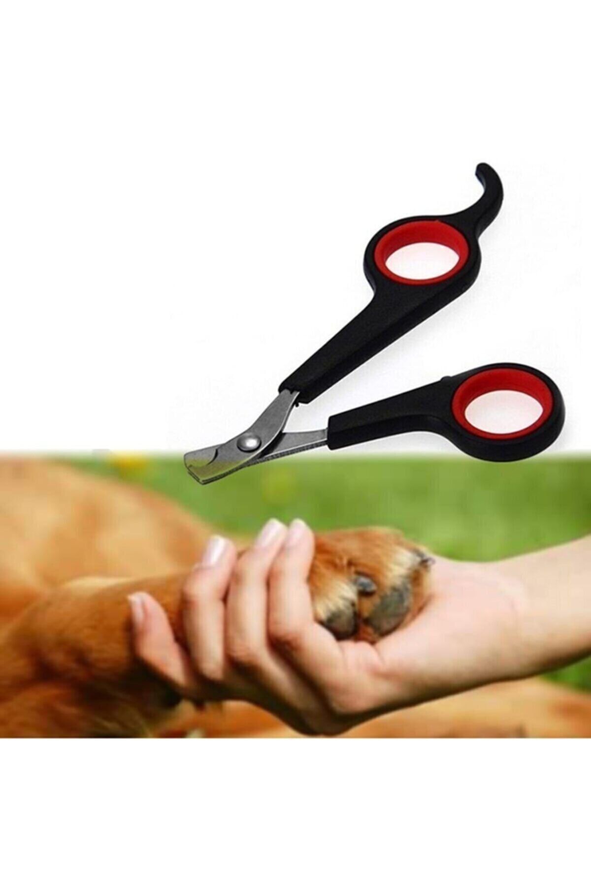 Jetcom Kedi Köpek Küçük Tırnak Makası 11 cm X 6,5 cm