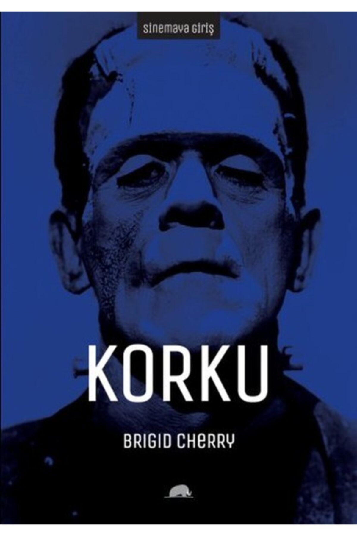 Kolektif Kitap Sinemaya Giriş - Korku
