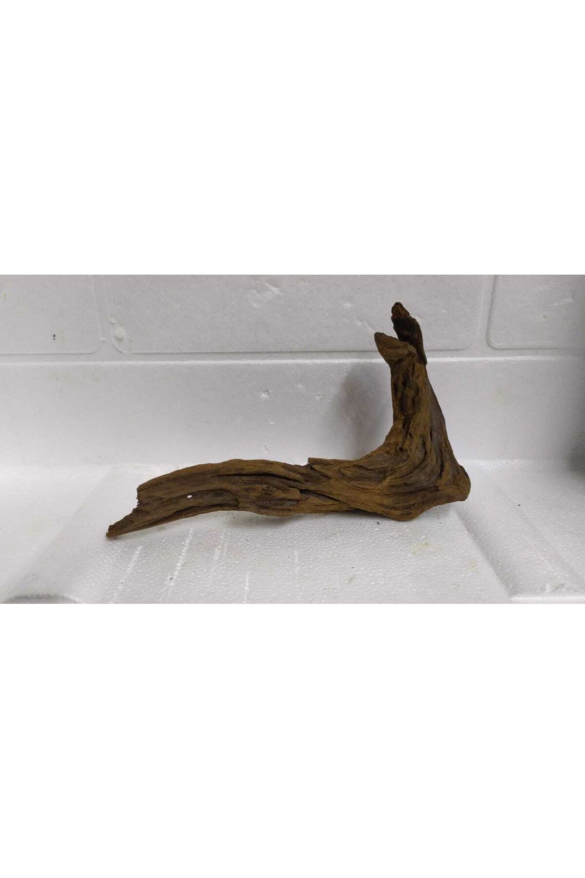 rofo Doğal Akvaryum Dekoru Mangrov Kökü Mangrove 27x7 Cm