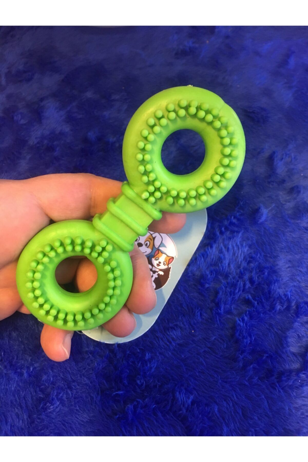 Aquaworld Köpek Diş Kaşıyıcı