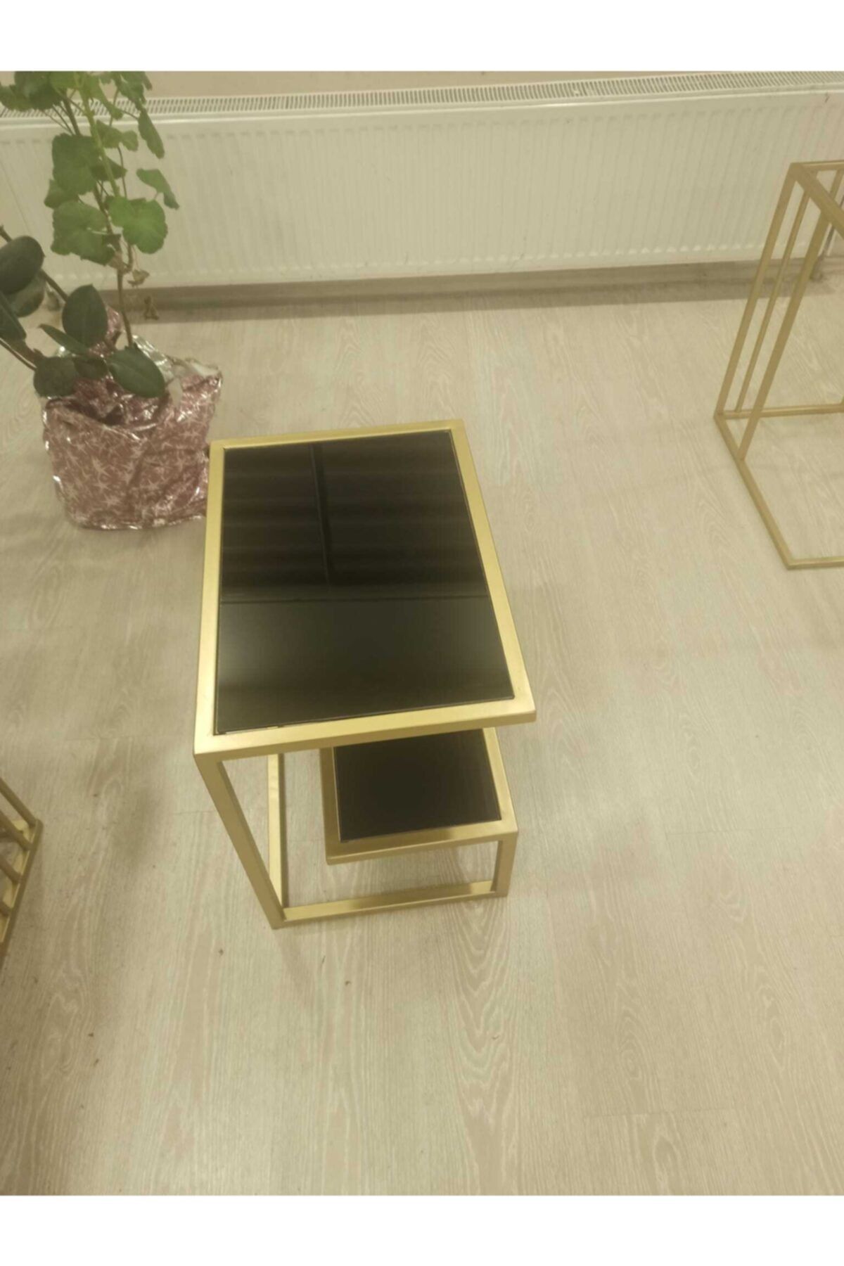 zey designer Gold Yan Sehpa