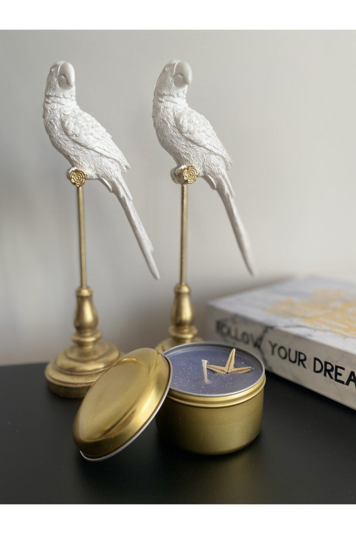 Sunlight Design By İlknur Bombeli Gold Kutulu Deniz Yıldızı Gri Mum