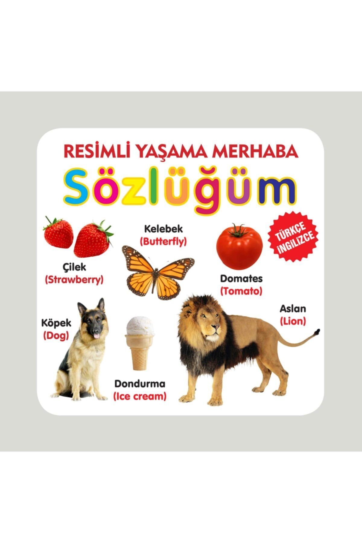 Parıltı Yayınları Yaşama Merhaba Sözlüğüm