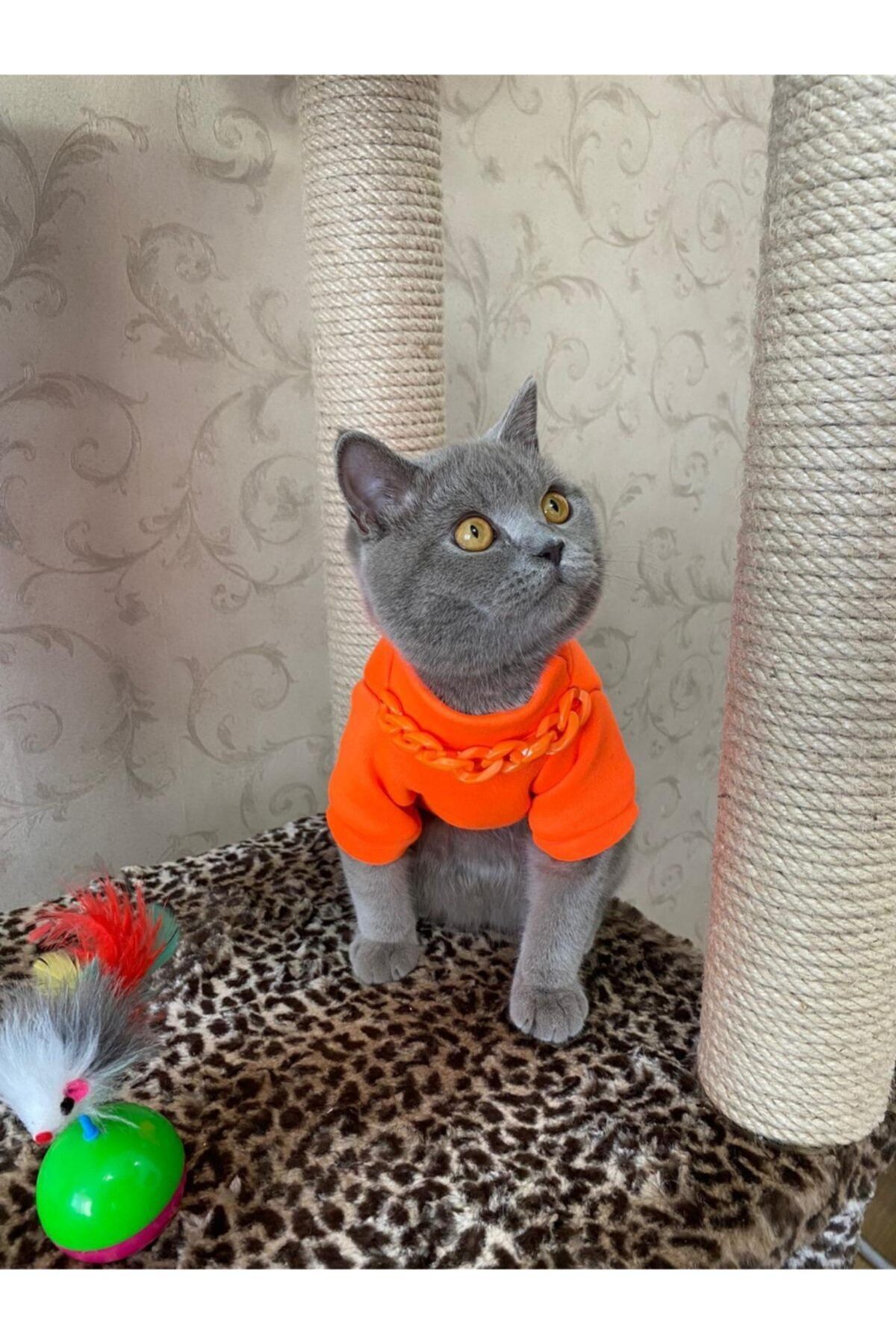Burcu Keresteci Turuncu Neon Kolyeli Kedi Ve Köpek Kıyafeti