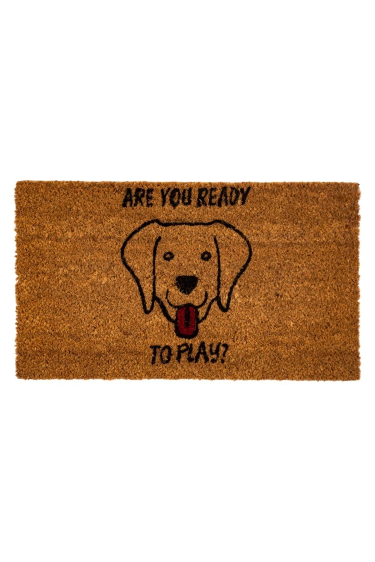 Mudo Concept Festal Dog Paspas 35x60cm