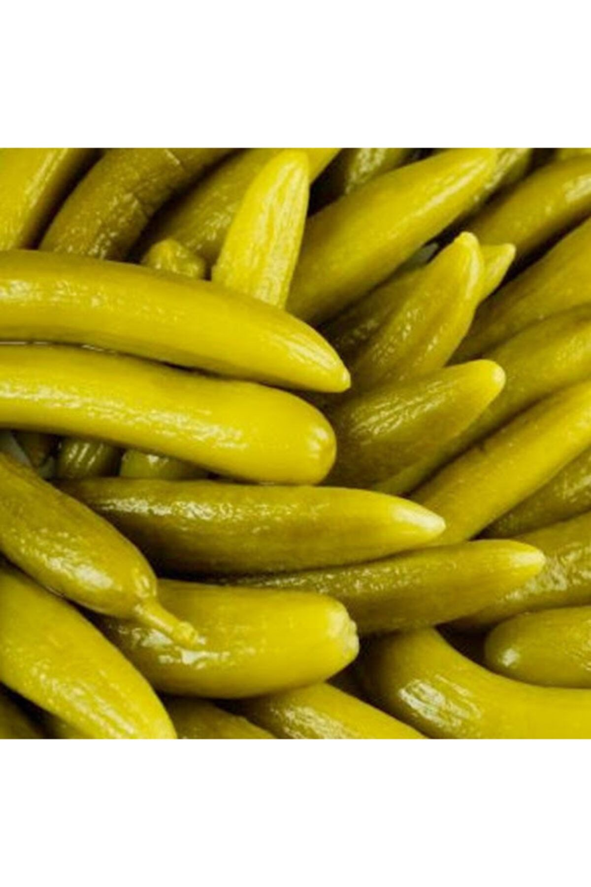 TURŞUCUDAN Ankara Çubuk Turşusu 5kg