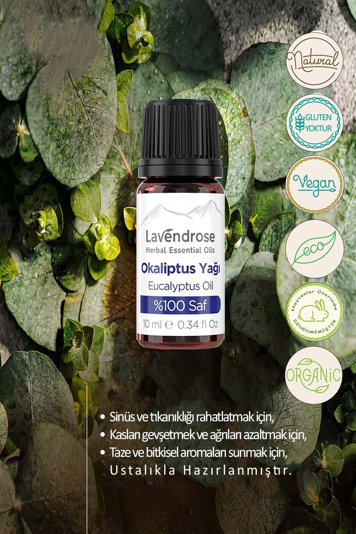 Lavendrose Saf Okaliptus Yağı %100 Bitkisel Organik Okaliptus Uçucu Yağ Doğal Aroma Terapi Yağı 10 Ml