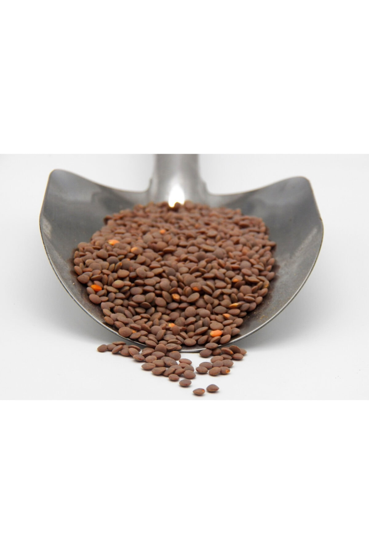 LAPAYNA Kara Mercimek 1kg