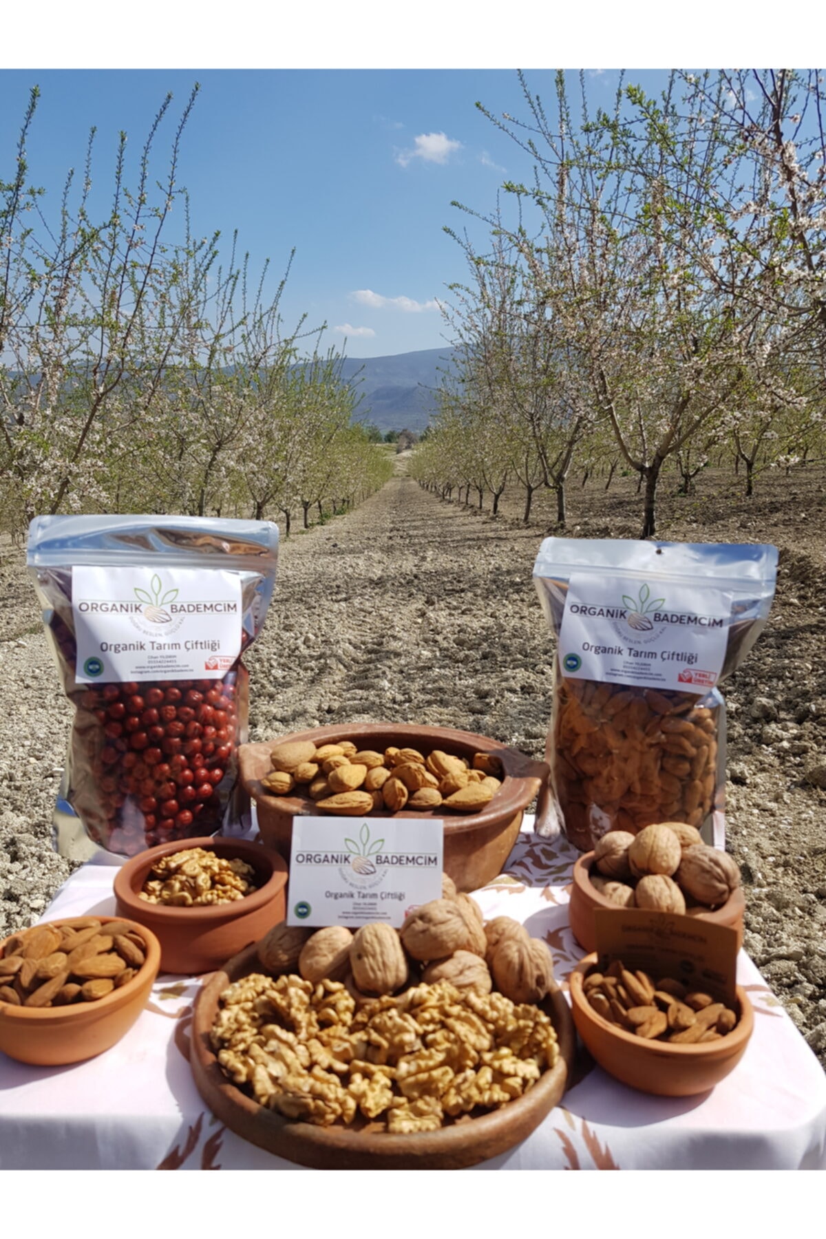 organikbademcim Ince Kabuklu Ceviz 500gr Yeni Mahsül