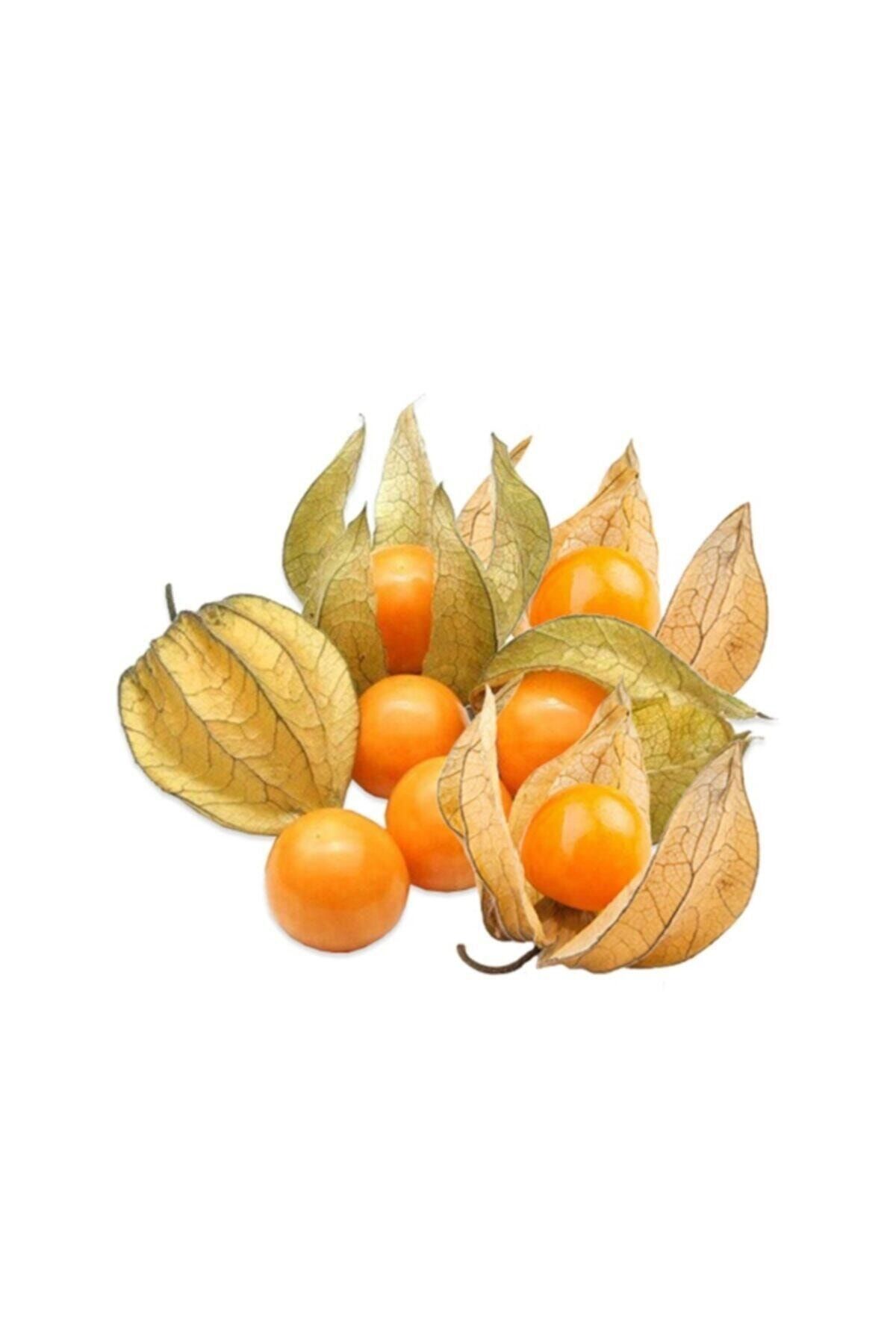 Mutlu Sebzeler Altın Çilek Physalıs 100gr'lık 1 Paket