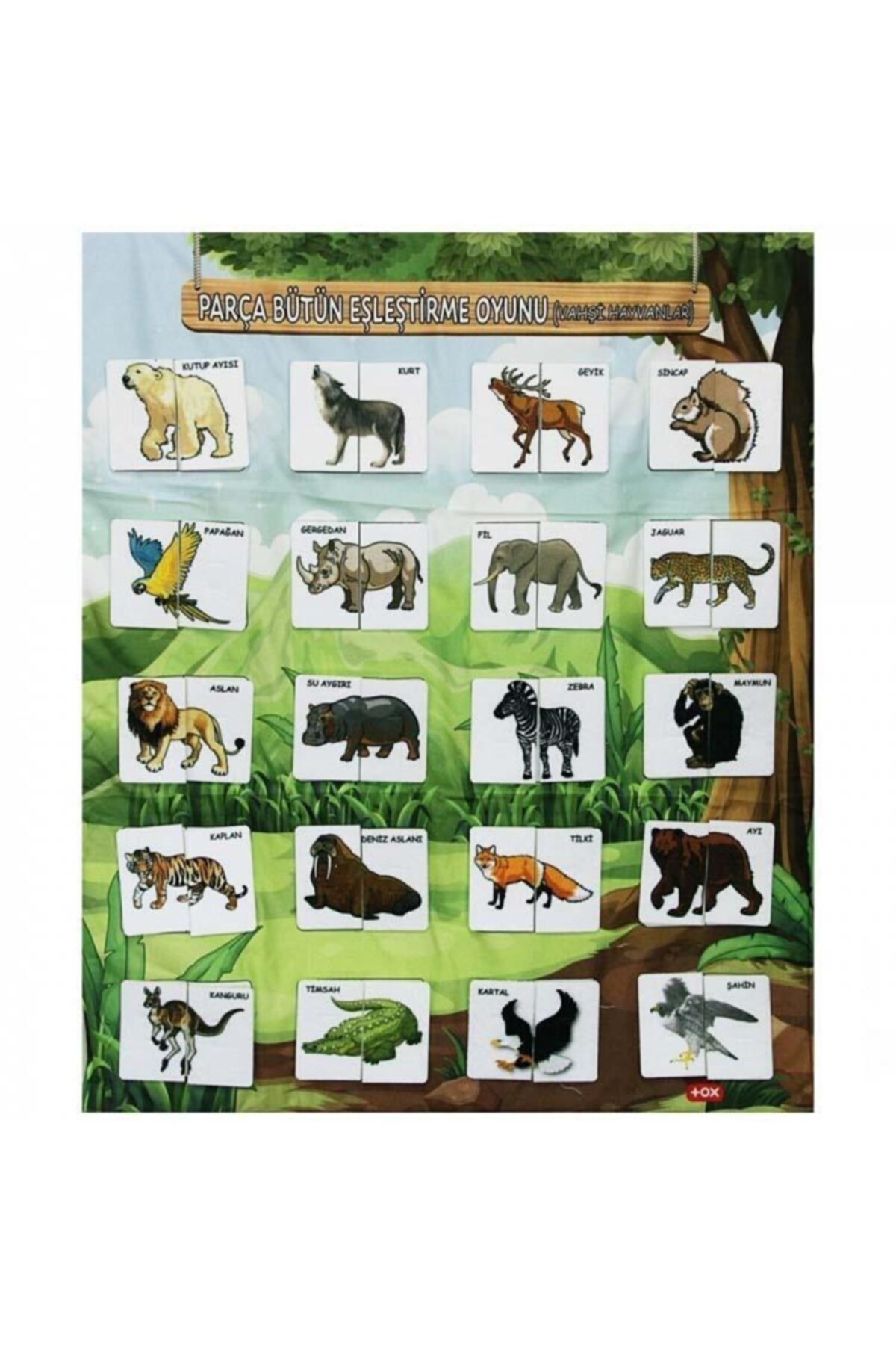 akids Fırsat Resmi Tamamlama Vahşi Hayvanlar Eğitici Pano