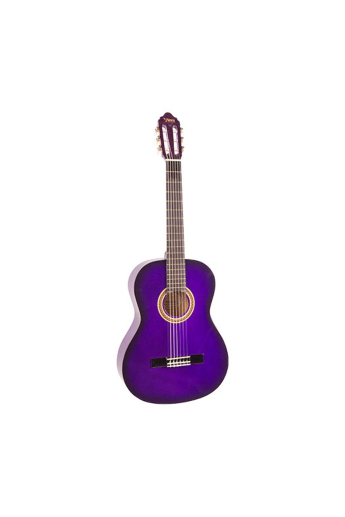 VALENCIA Vc102t (8-10 Yaş Grubu) Pps 1/2 Klasik Gitar Sap Çelikli