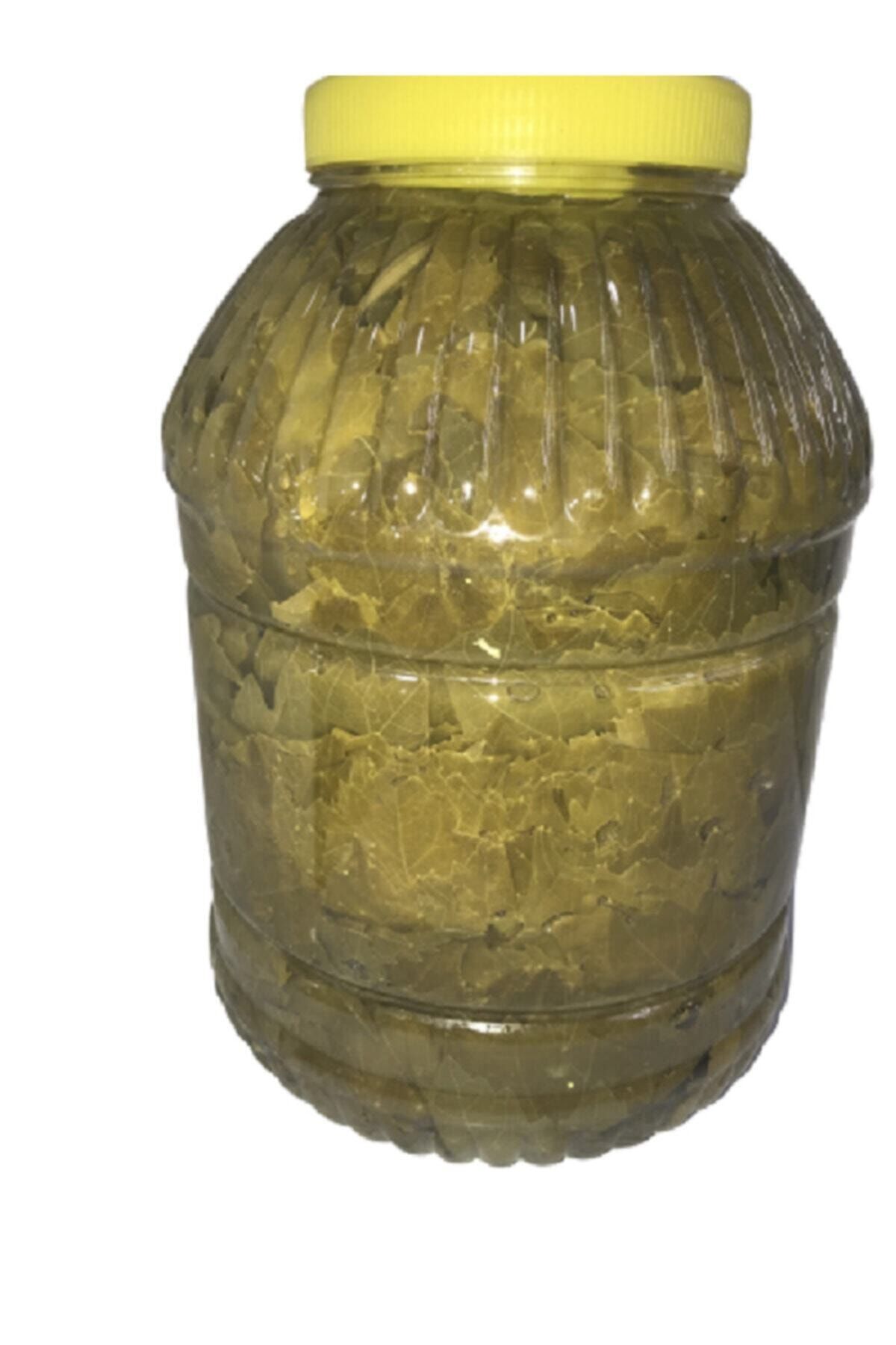 zeytin ve zeytinyağı dünyası 5 Kg Ambalajda Salamura Yaprak. Sarma Yaprağı. Asma Yaprağı. Bağlarımızda Ilaç Kullanılmamıştır.