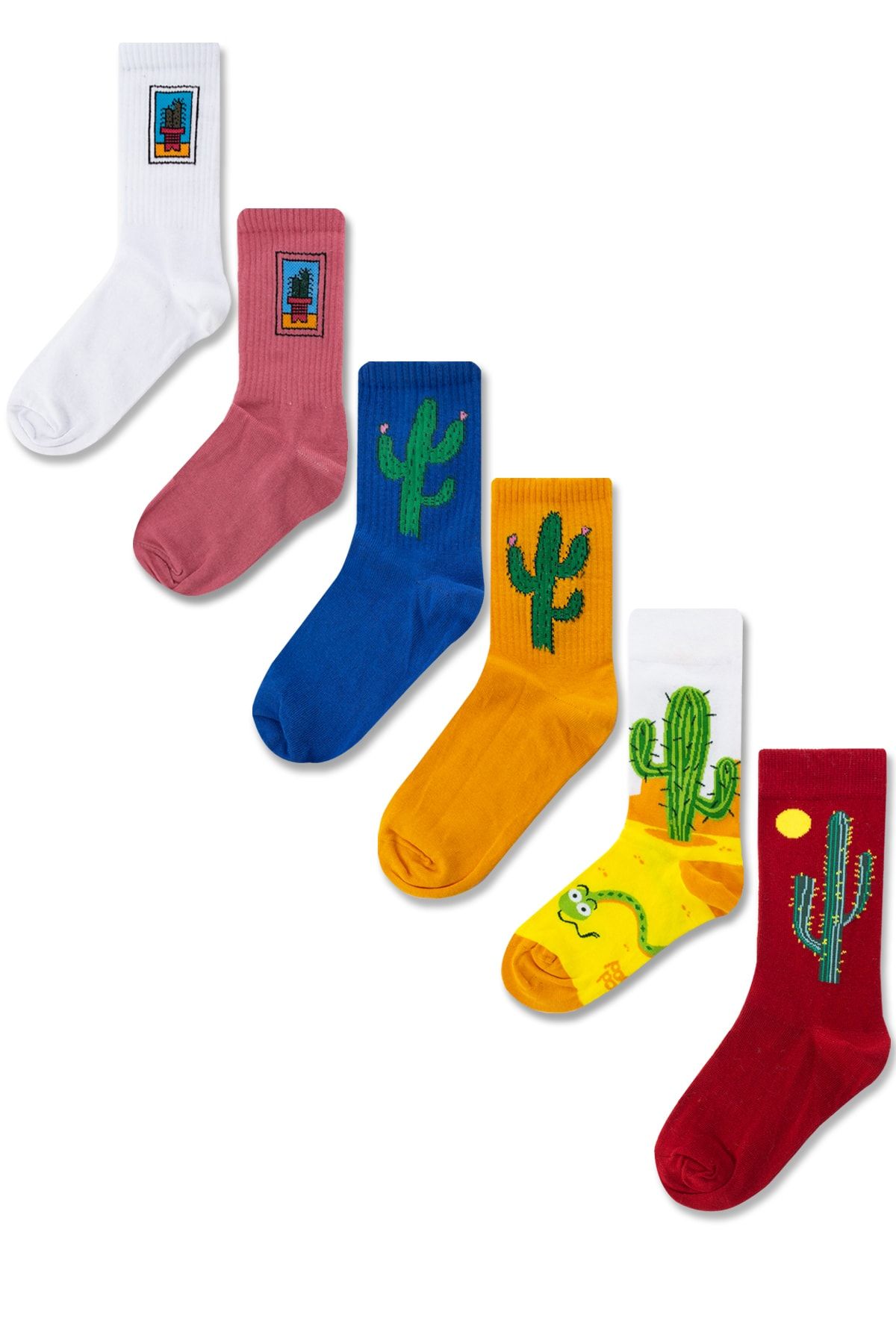 Socksarmy Kaktüs Desenli 6 'lı Çorap Seti 2