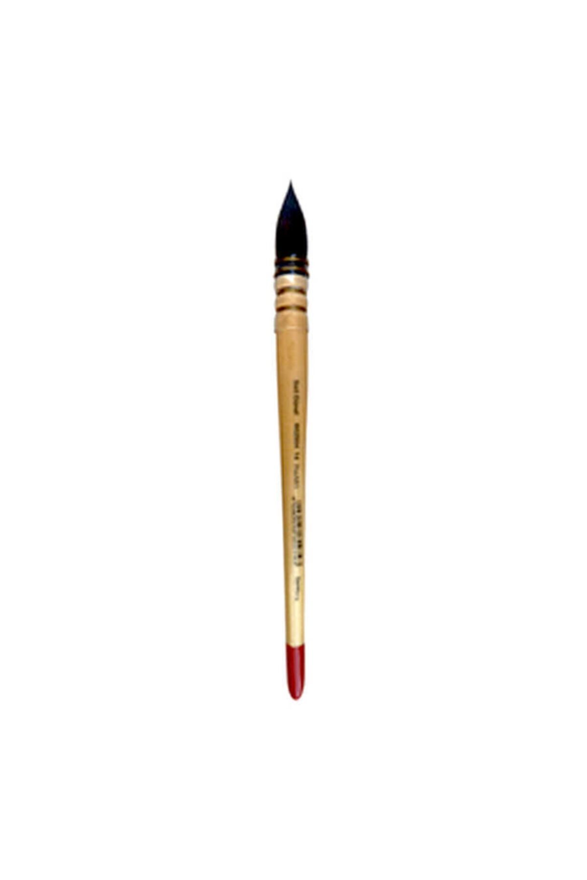 Ponart 602504-8 Sait Günel Fırça