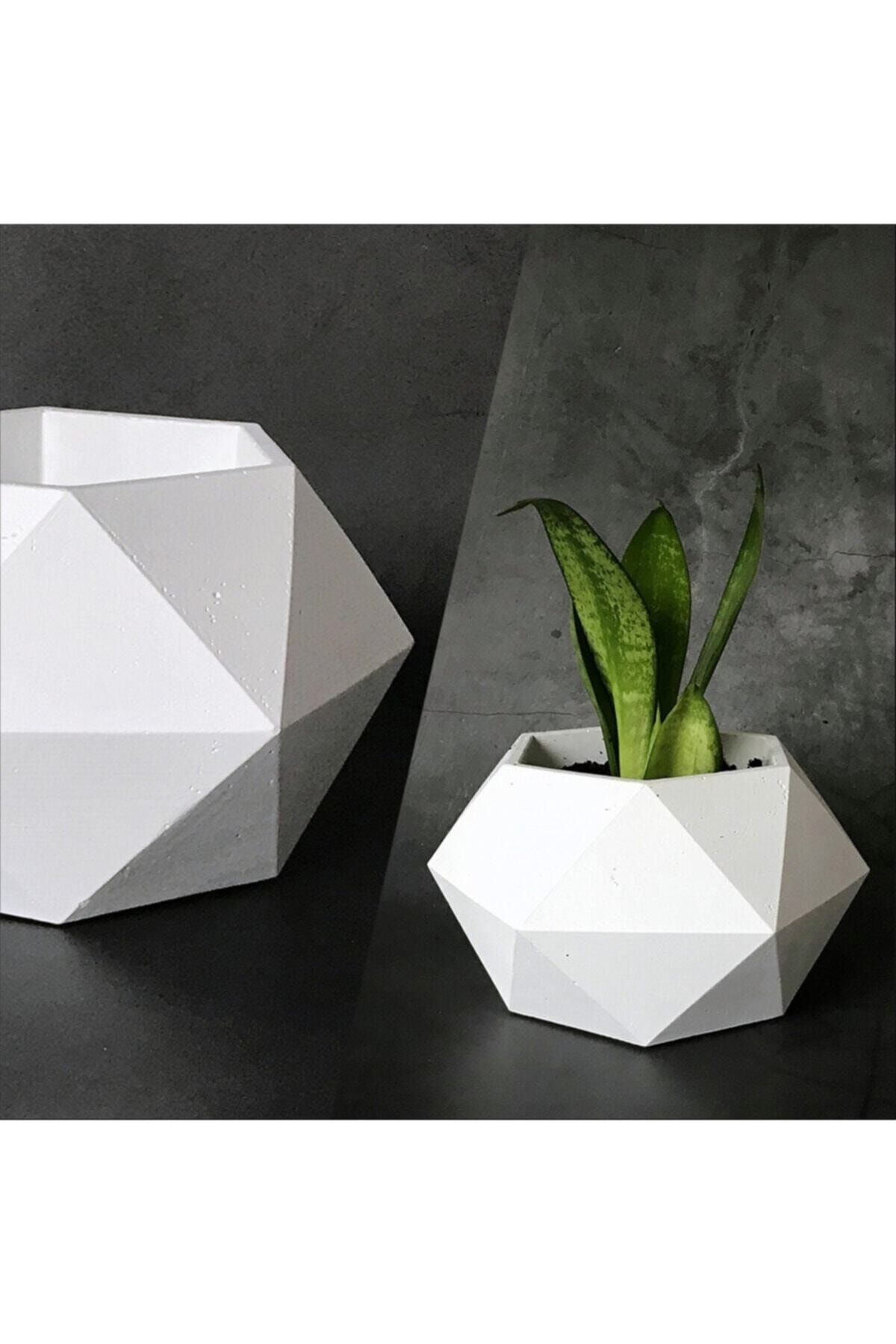 Etiget Beton Saksı Kaktüs Ve Sukulentler Için Dekoratif Saksı Büyük 17.5x10cm Beyaz