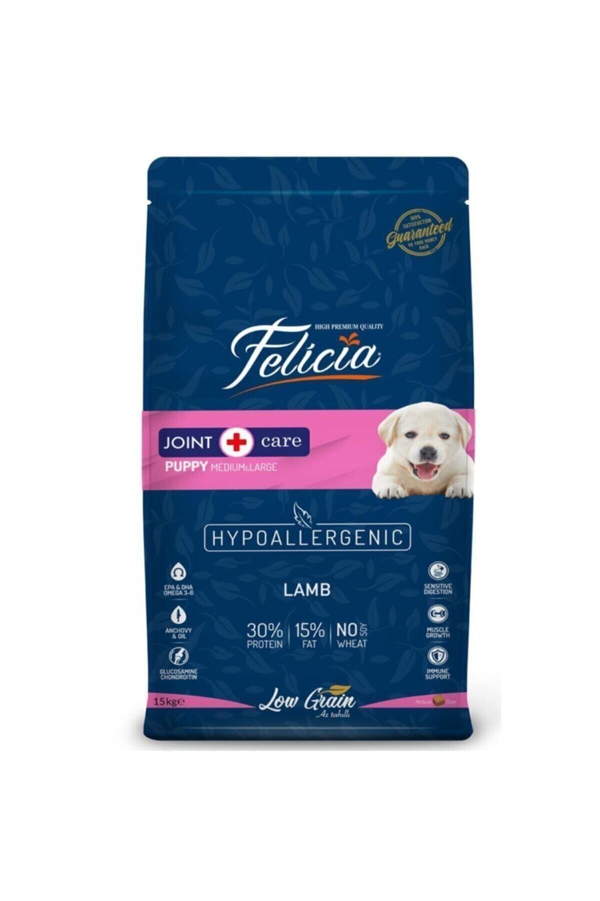 Felicia Puppy Large Breed Kuzu Etli Yavru Köpek Maması 15 Kg