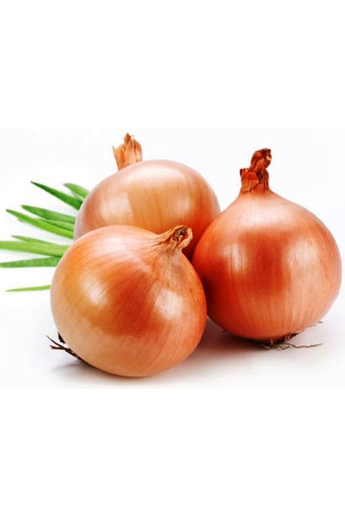 tazece Kuru Soğan 3 kg