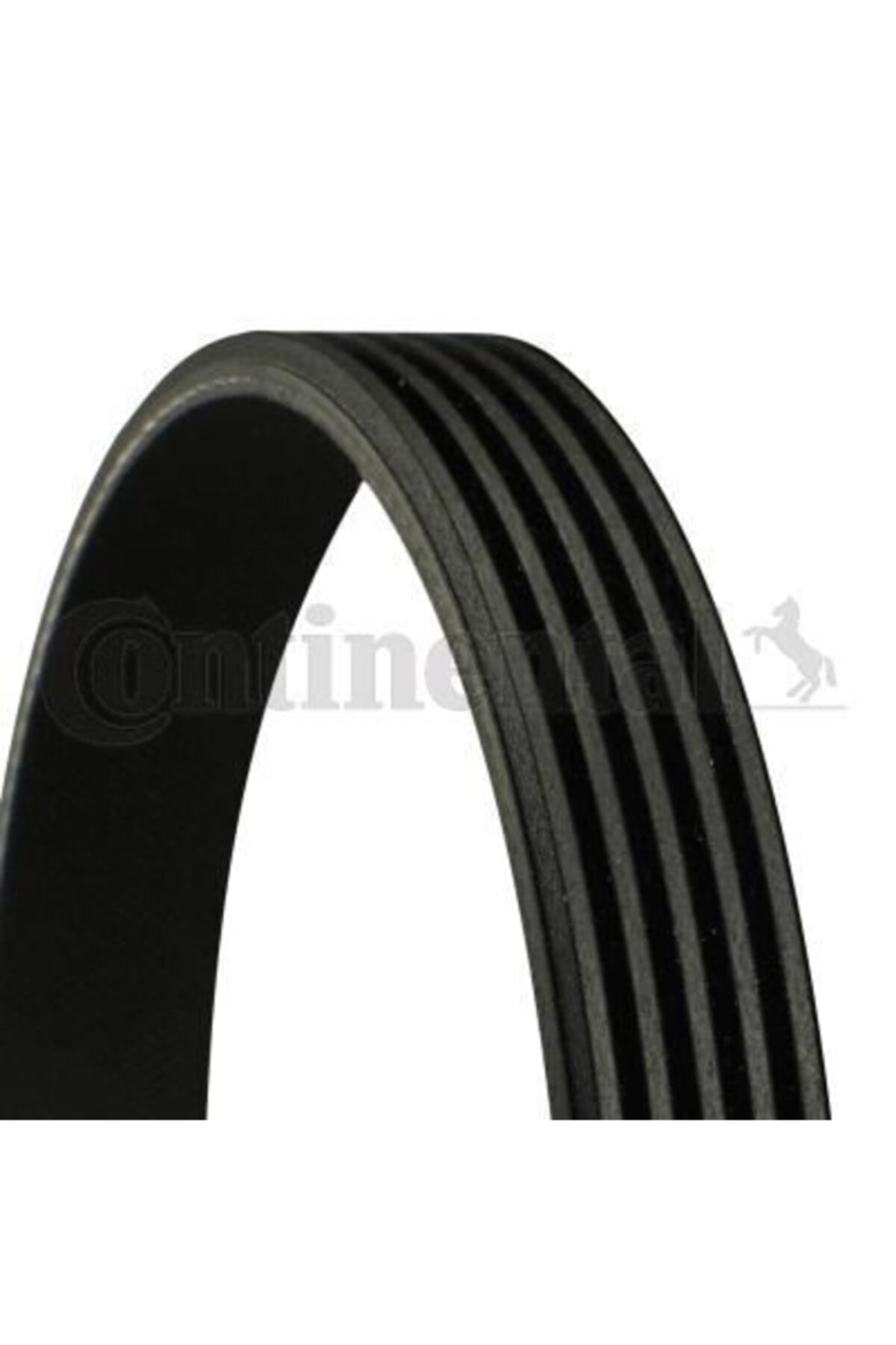 ÖZGÜÇYEDEK Kanallı V Kayısı W169 04 W245 05