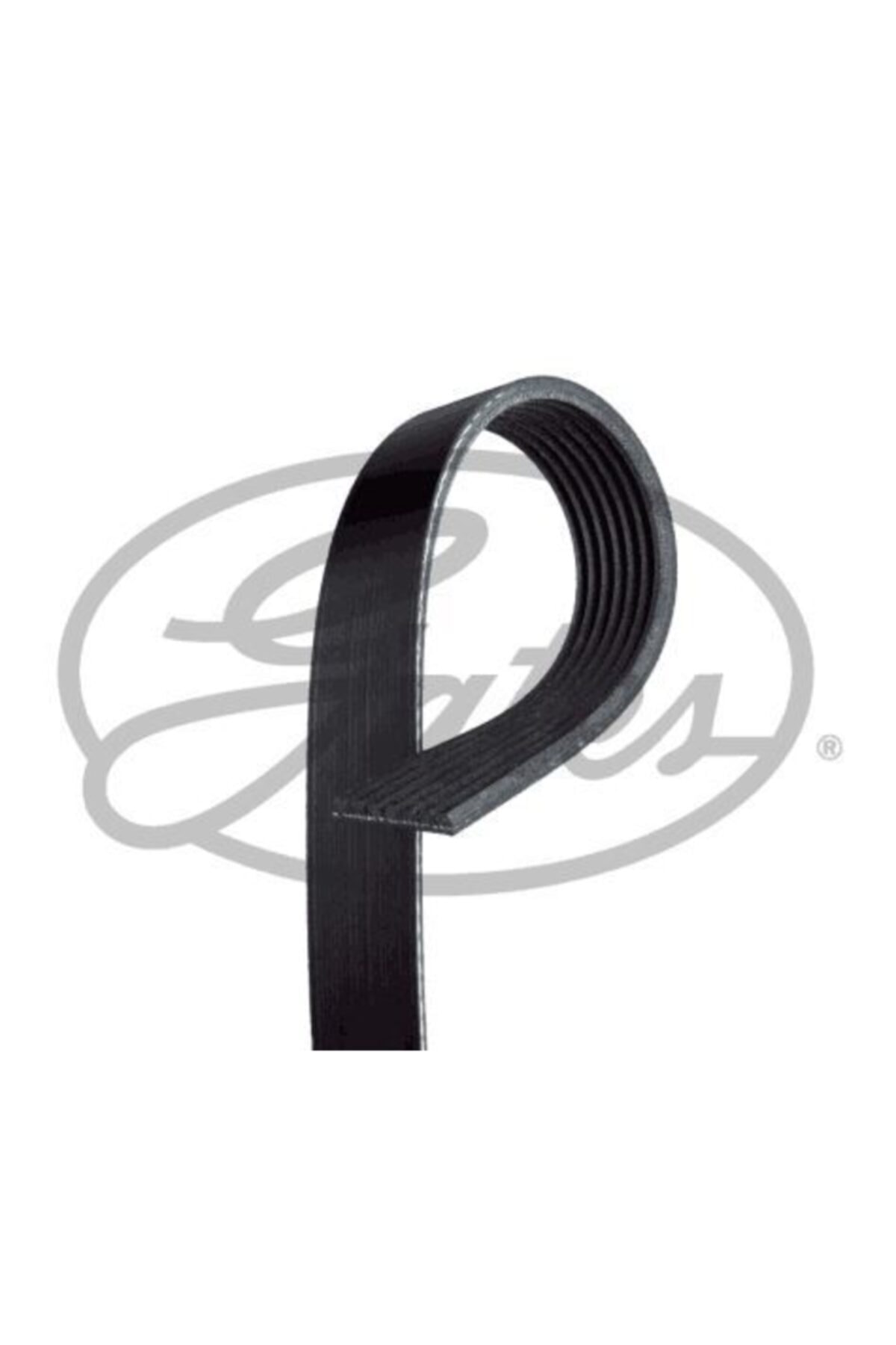 ÖZGÜÇYEDEK Kanallı V Kayısı Transıt V347 3,2 200ps Tdcı 0714 Klımasız