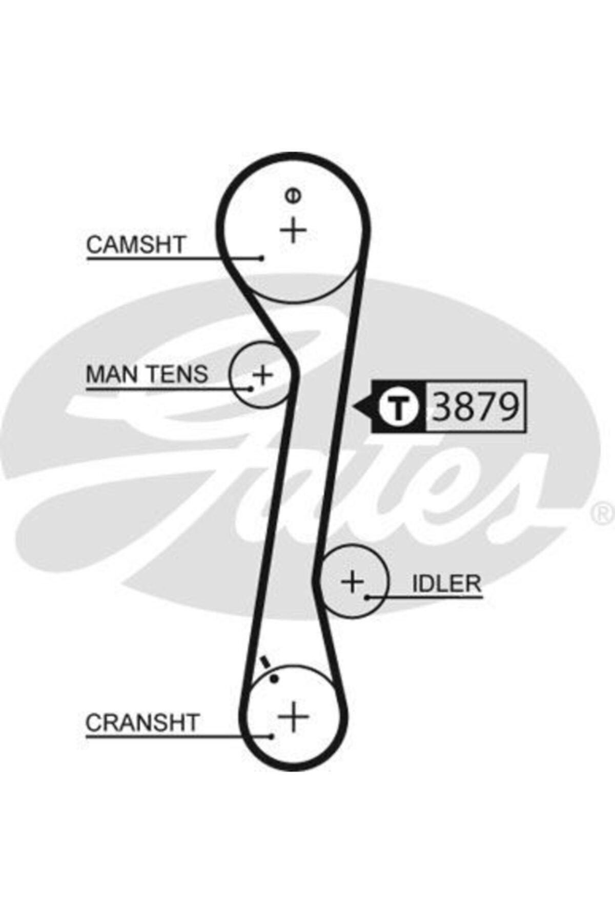 ÖZGÜÇYEDEK Eksantrık Kayısı (113x254) Elantra Lantra Coupe2,0 16vı30 Cvvt16v 07=tuscon 04=