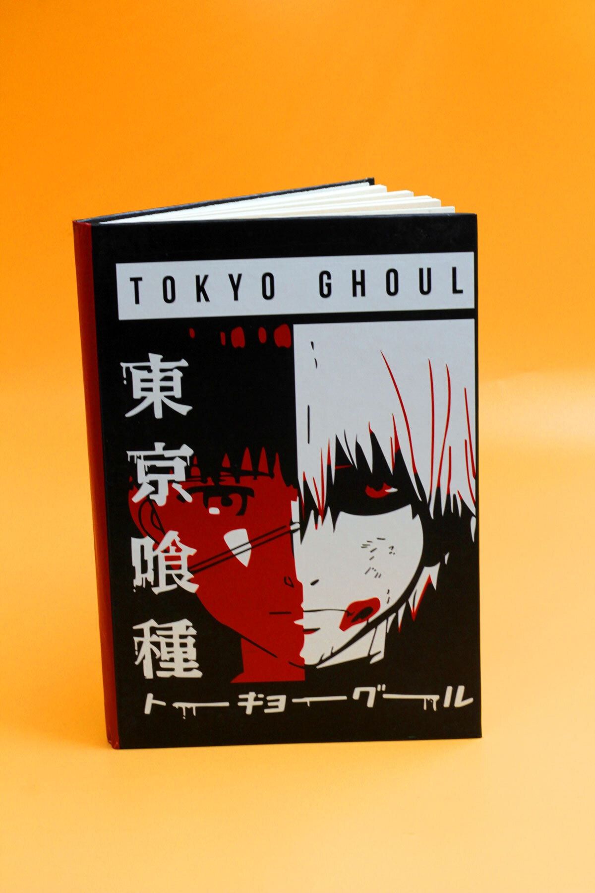 basarbasmaz Tokyo Ghoul Anime Defter