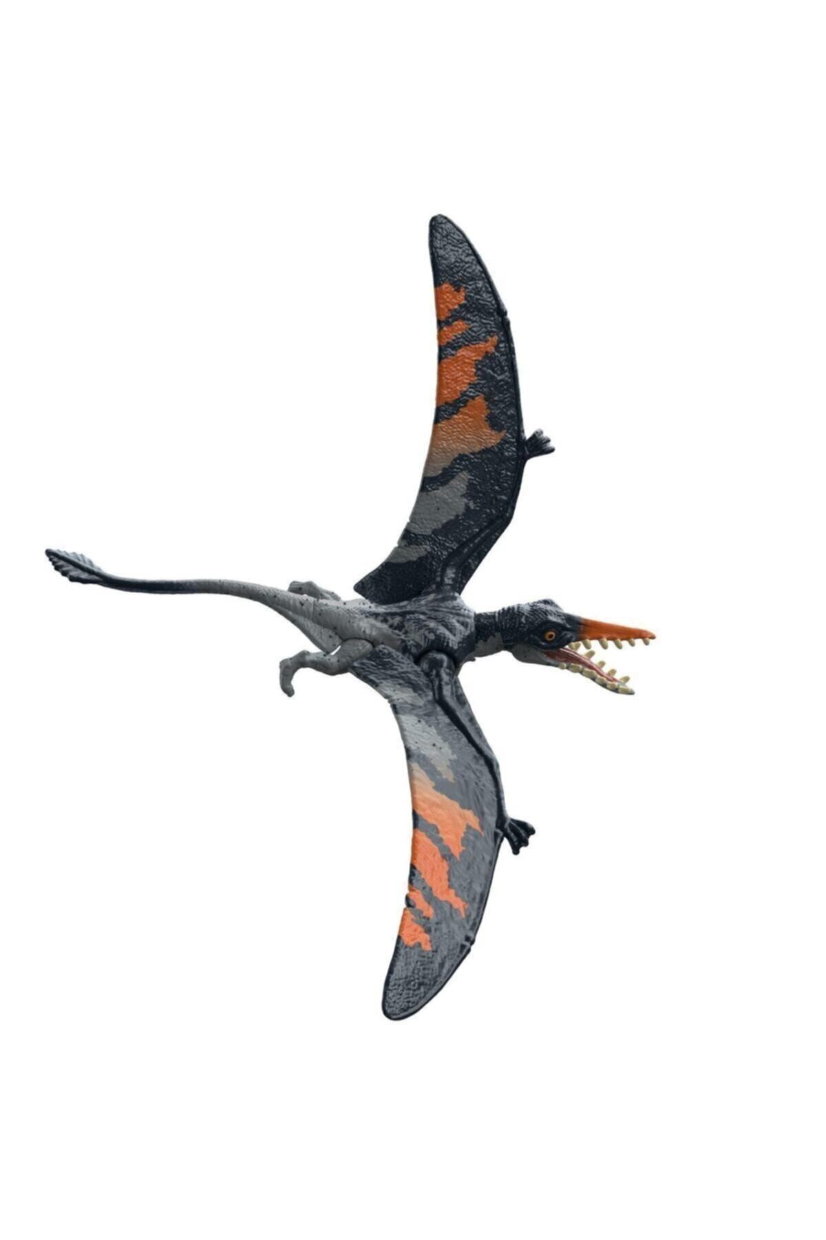 JURASSIC WORLD Dinozor Figürleri - Rhamphorhynchus