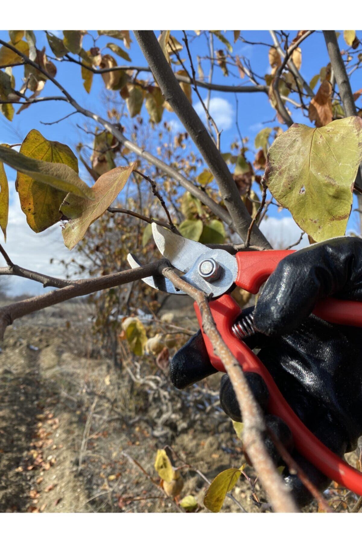 öziş Budama Makası
