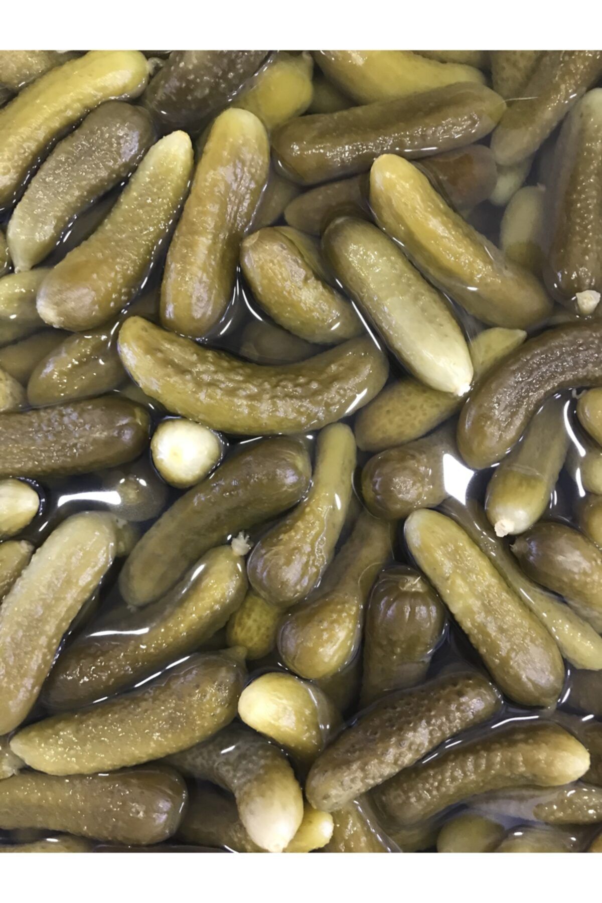 Kapıda Mahsul Kornişon Turşu 500gr