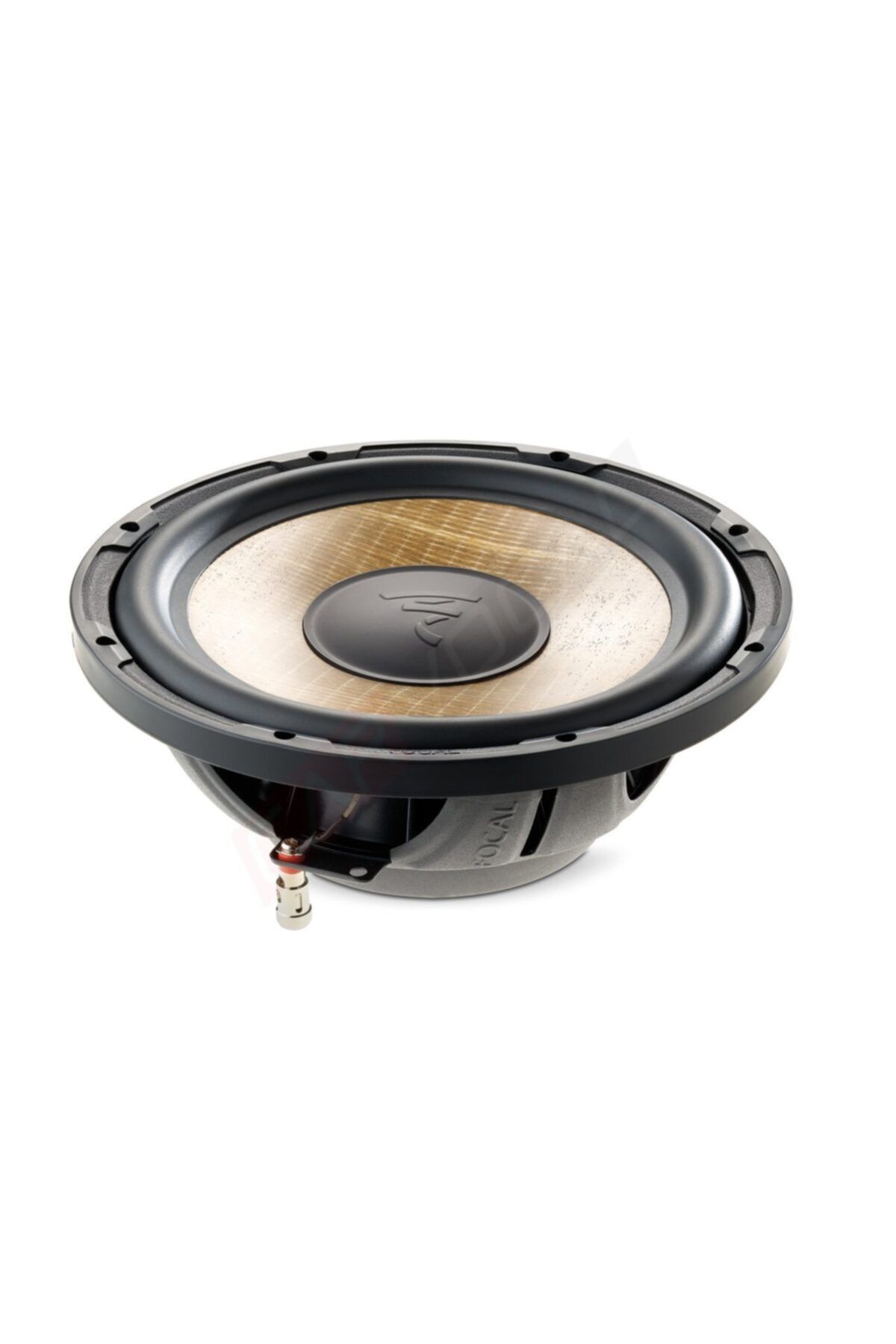 Focal Sub P25-fse 25cm Subwoofer