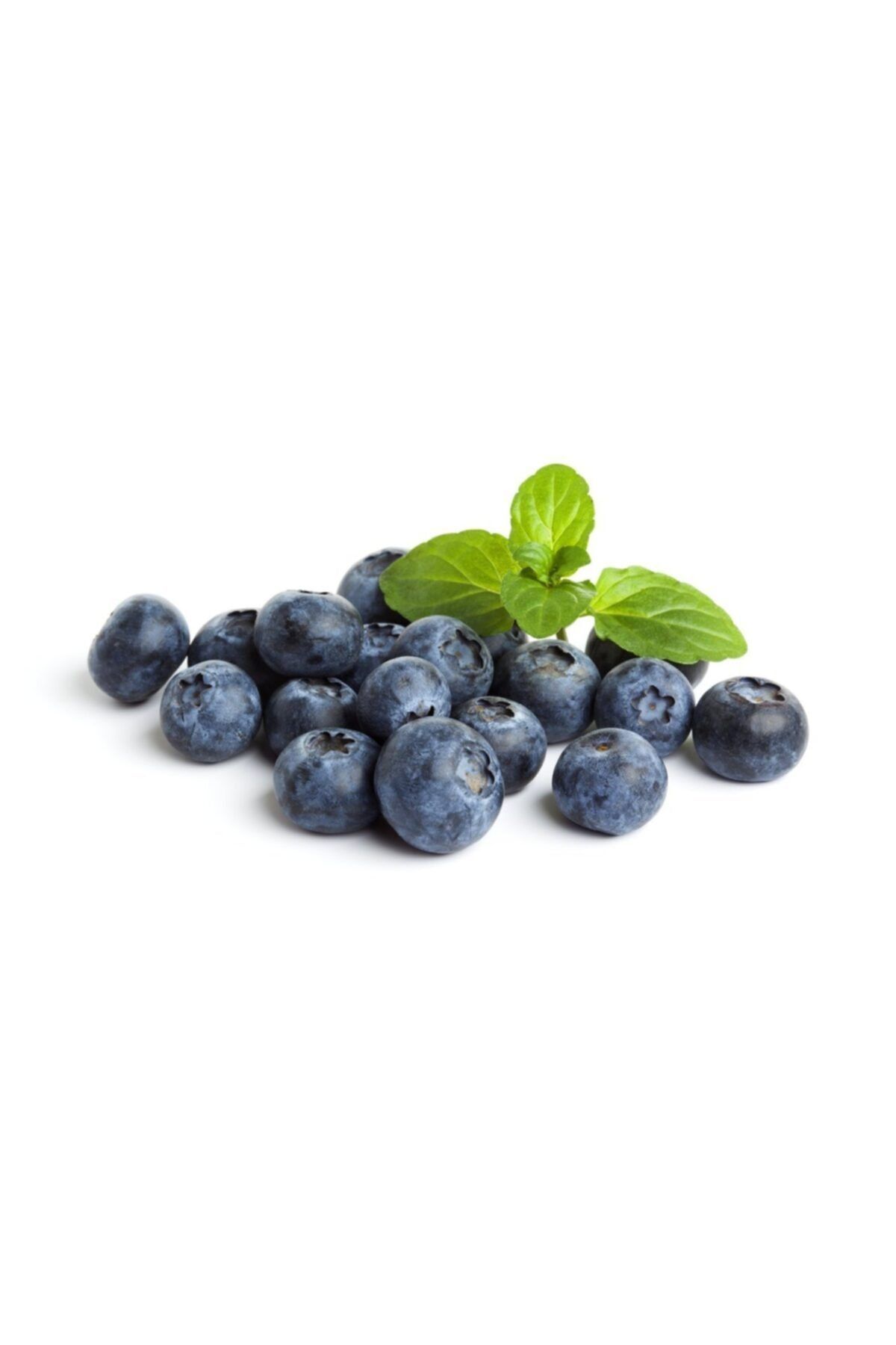 tazece Yaban Mersini 125 Gr 3 Paket