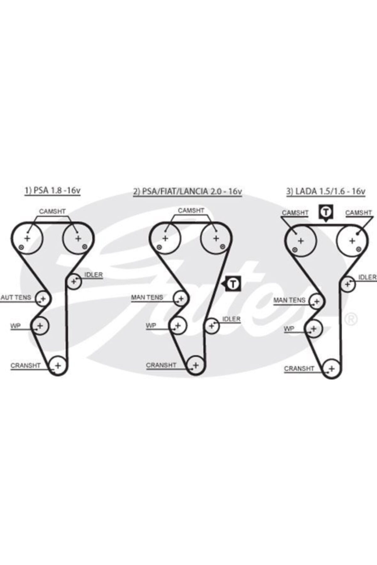 ÖZGÜÇYEDEK Eksantrık Kayısı (136x254) Xantıa Xsara Zx Peugeot 306 406 605 806 1,8 2,0 16v L