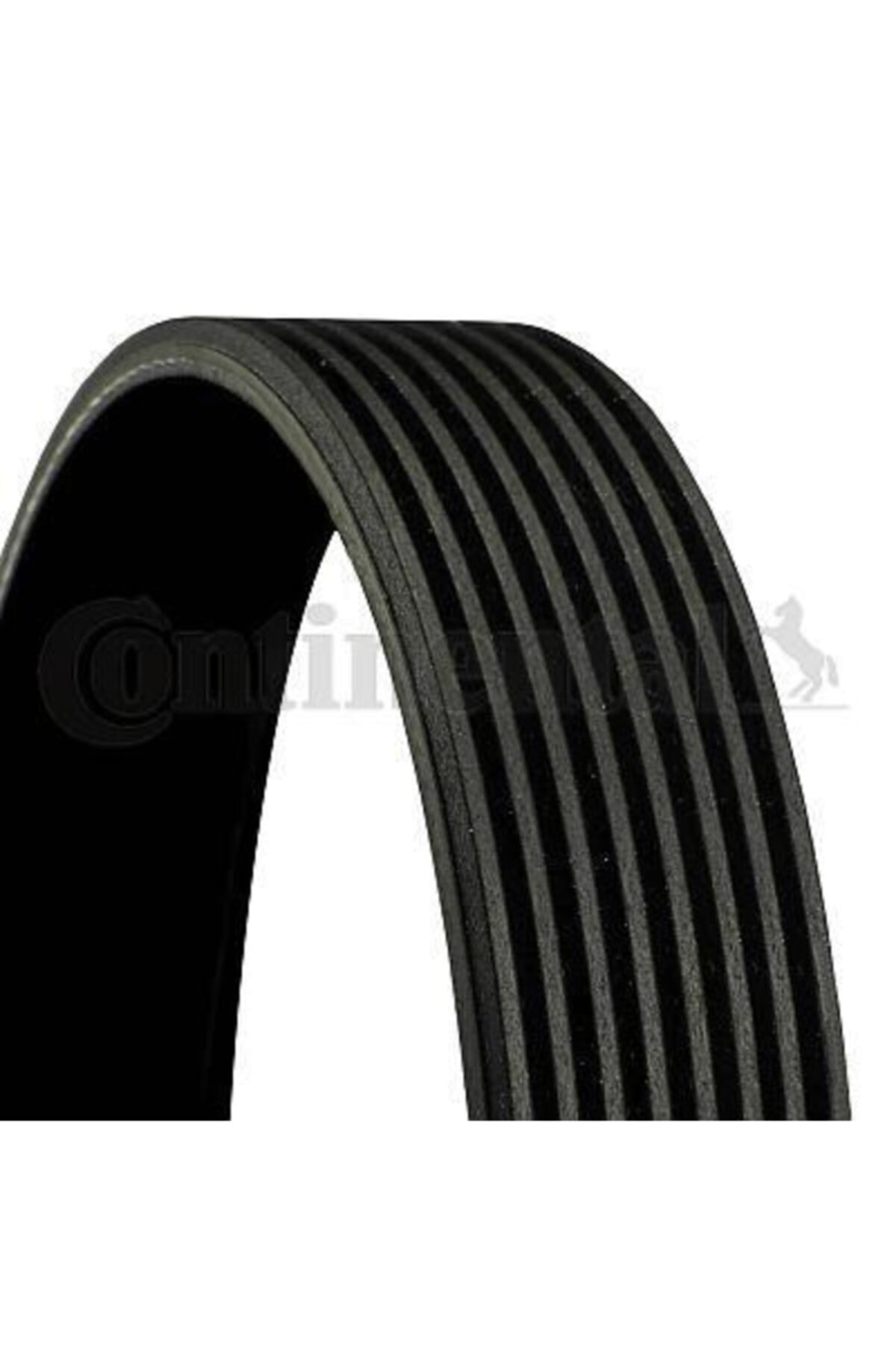 ÖZGÜÇYEDEK Kanallı V Kayısı W221 0513 W164 0509 W251 0612