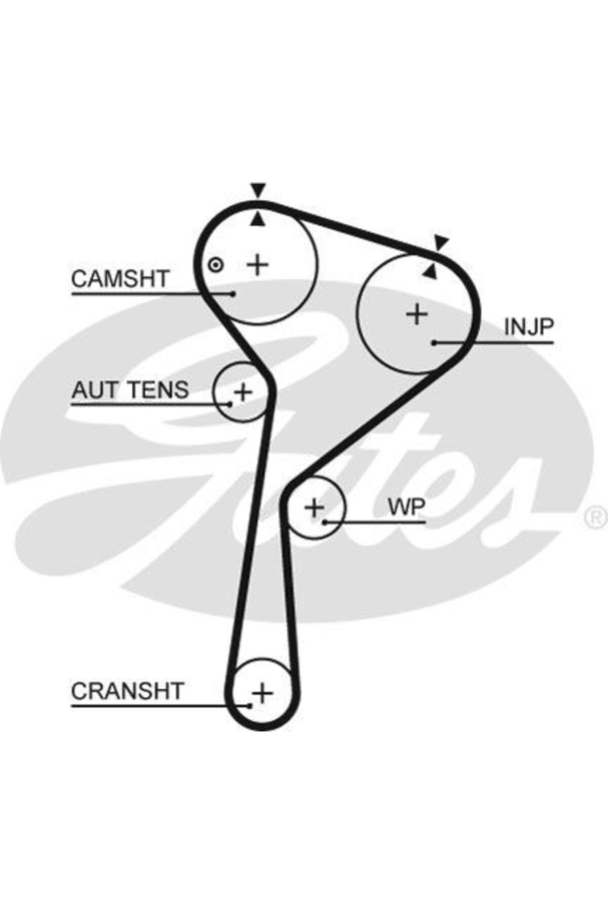 ÖZGÜÇYEDEK Eksantrık Kayısı (119 Dıs 27mm) Renault Clıo Iv Kangoo Iıı Dokker Logan Iı Lodgy