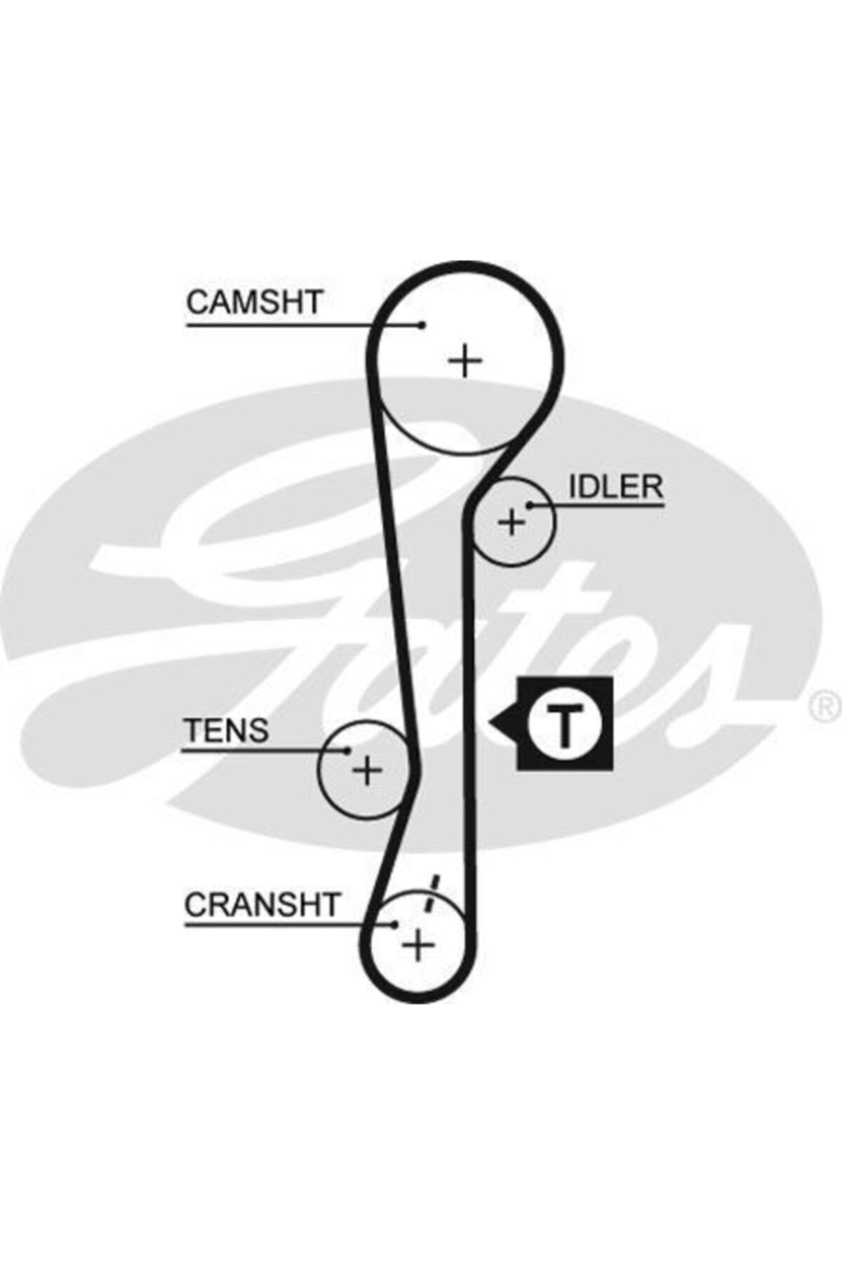 ÖZGÜÇYEDEK Eksantrık Kayısı (105x220) Accent 1,4 1,5 16v 99= Getz 1,4 1,6 02= Elantra Exc