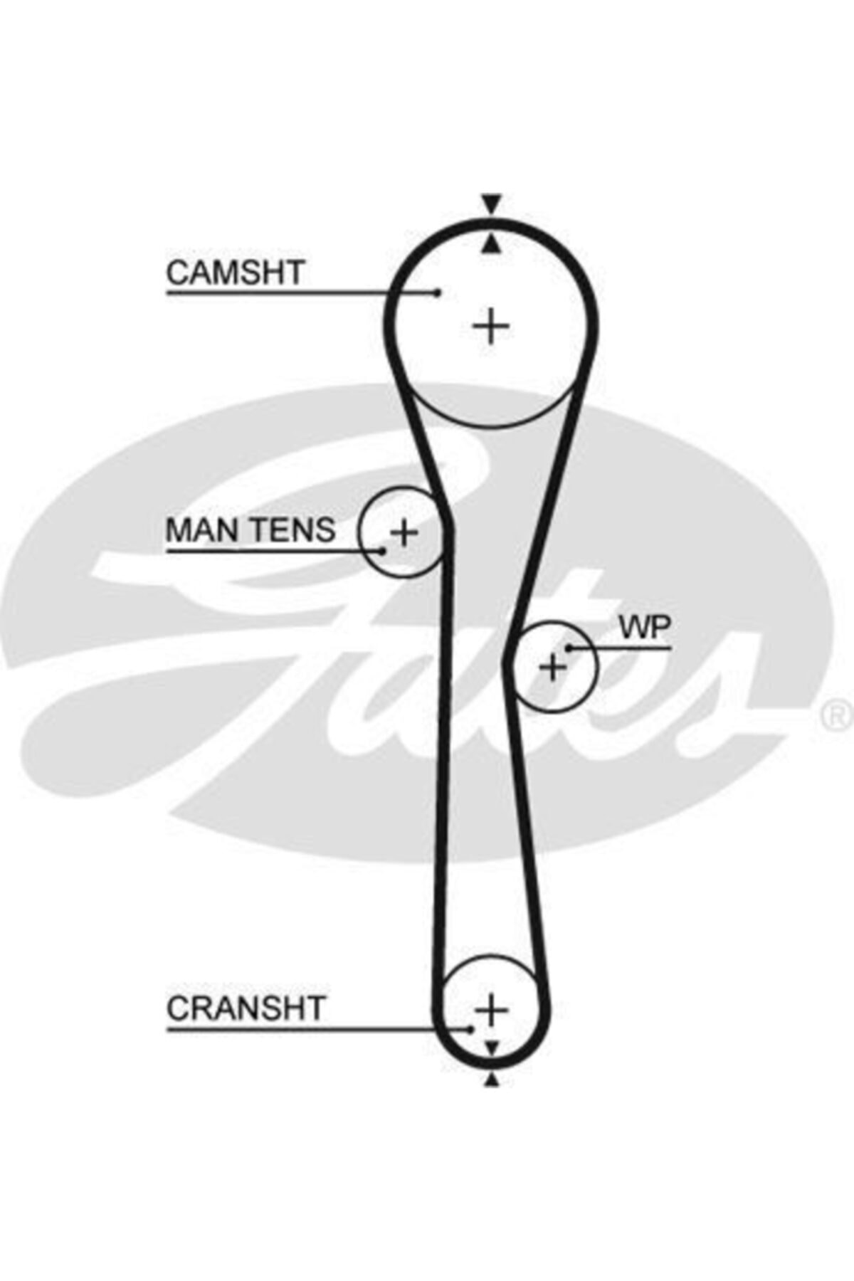 ÖZGÜÇYEDEK Eksantrık Kayısı (095x234) Clıo Kango Modus Twıngo 1,2 16v Dacıa Sandero Nıssan