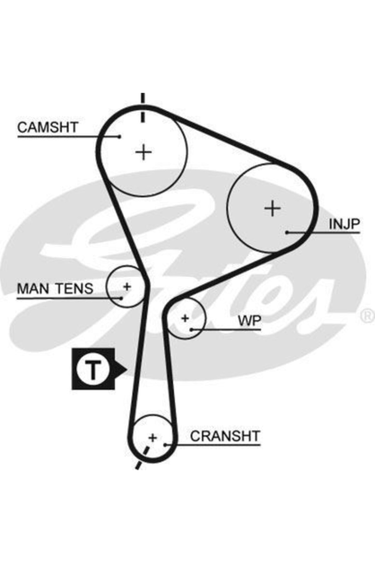 ÖZGÜÇYEDEK Eksantrık Kayısı (132x260) 132 Dıs Master Movano Vıvaro Trafıc 1,9 Dcı Laguna 1,