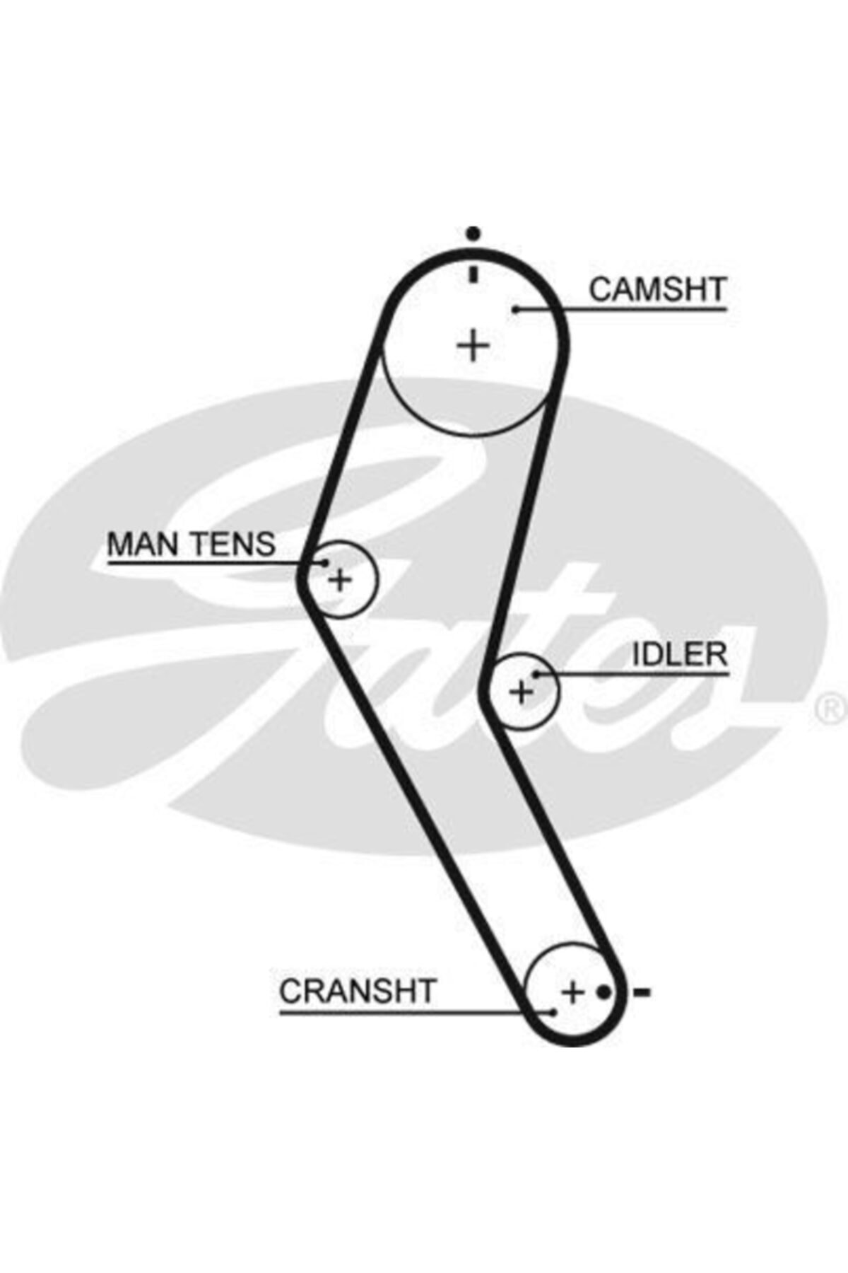 ÖZGÜÇYEDEK Eksantrık Kayısı (104x160) Subaru Vıvıo 0,7 8v (92 00) Rex 0,6 (90 92) Sanbar 0,