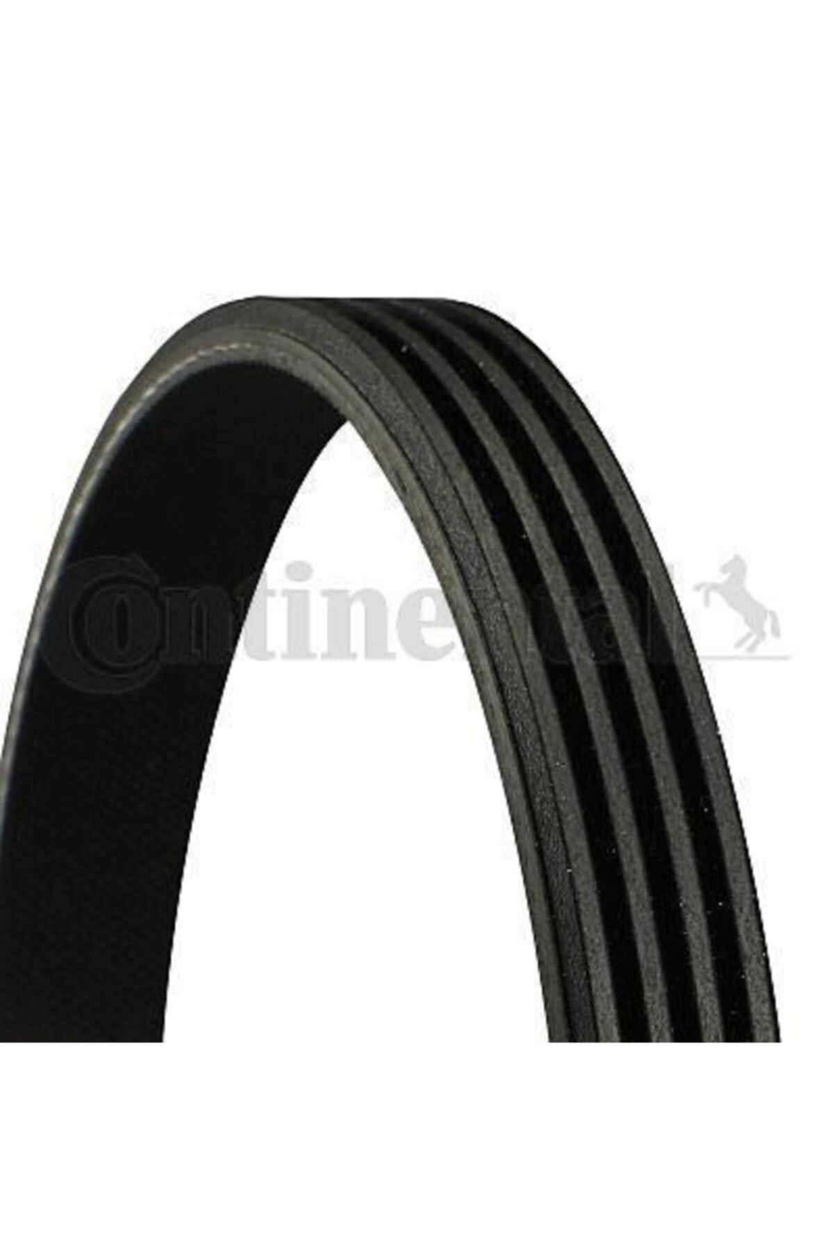 ÖZGÜÇYEDEK Kanallı Kayıs Transıt T15 2,5 Turbo