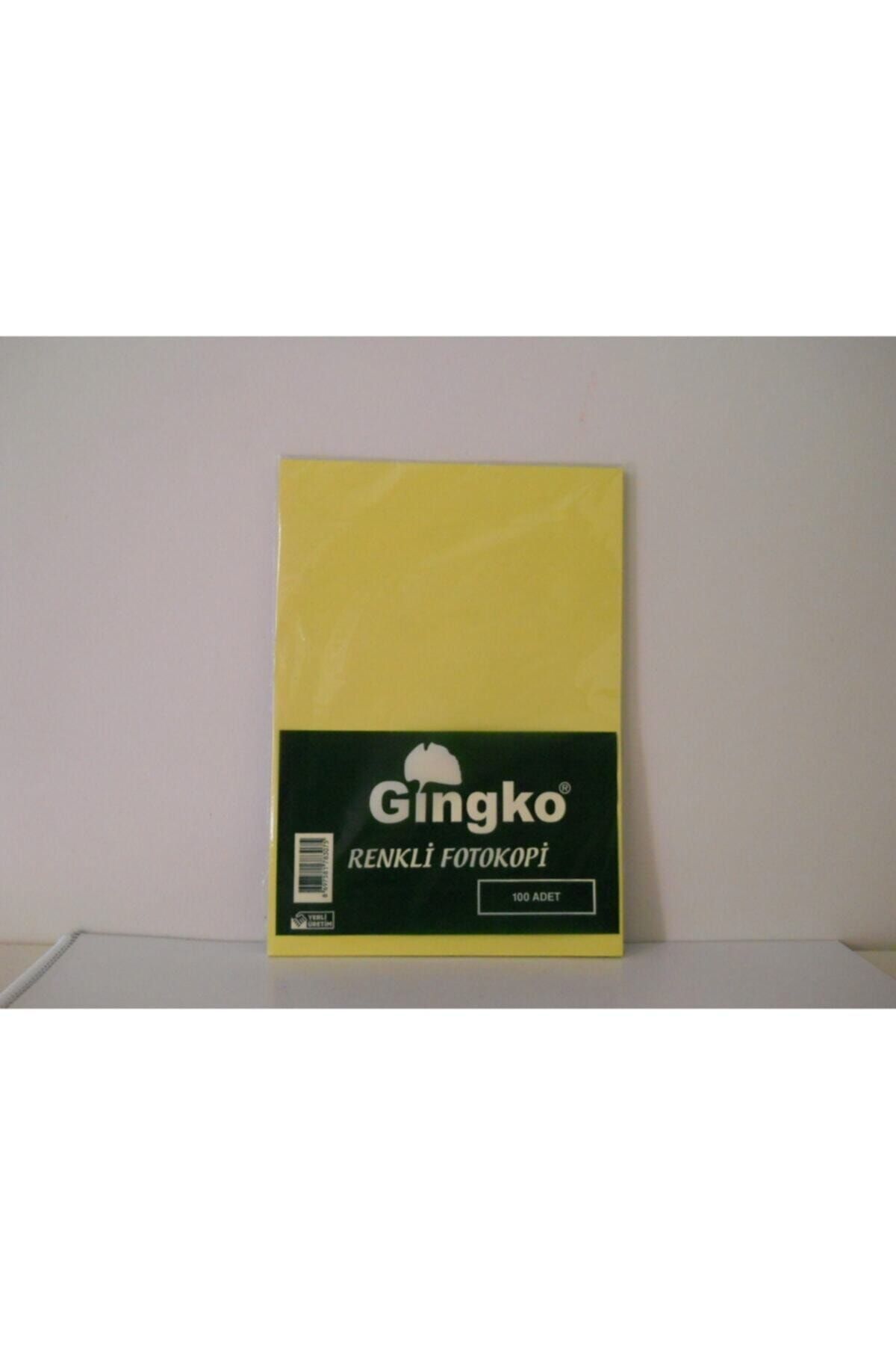 Gingko Renkli A4 Fotokopi Kağıdı 80 gr 100 Adet