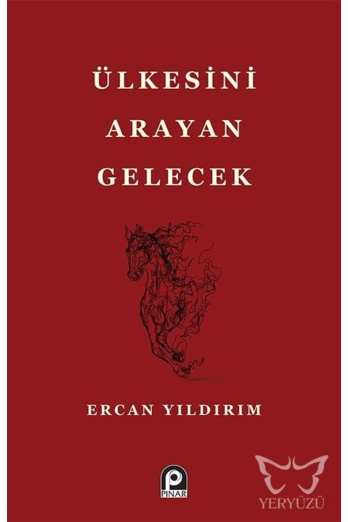 Pınar Yayınları Ülkesini Arayan Gelecek -  Ercan Yıldırım