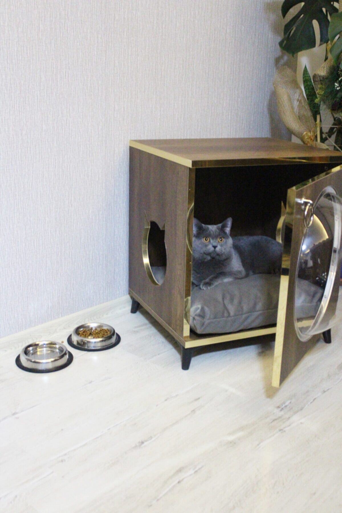 hommdecoo Kedi Evi-gold Cam Fanus Kedi Evi