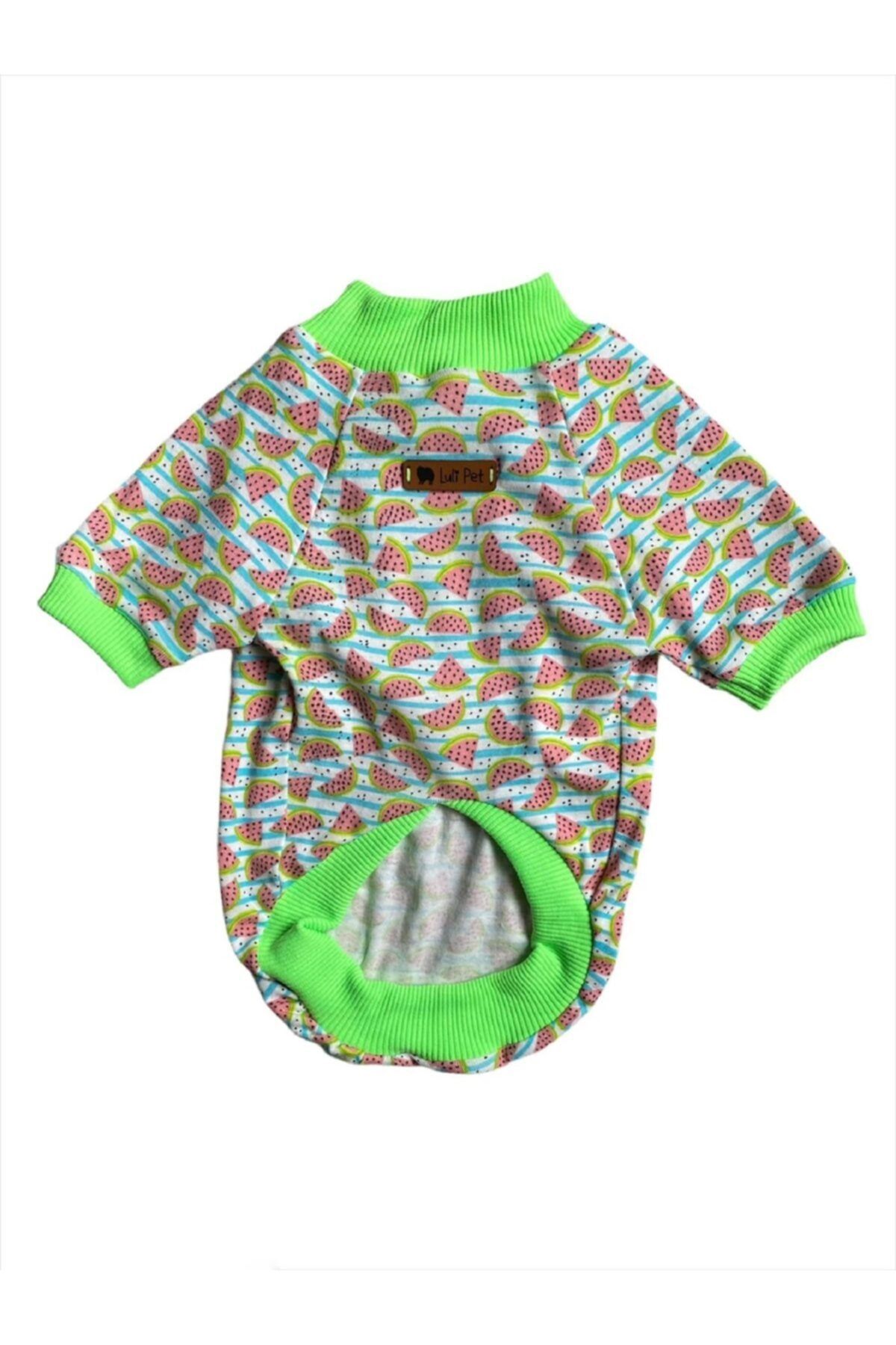Luli Pet Karpuz Desenli Köpek T-shirt- Neon