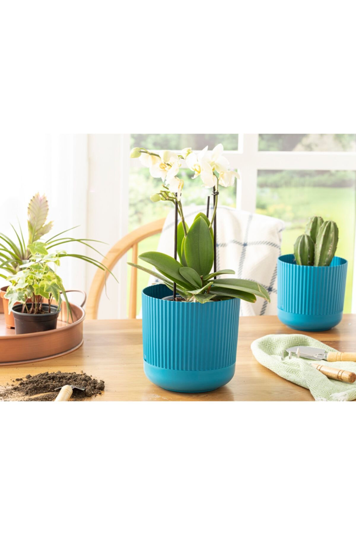 English Home Bloom Plastik Saksı 16x16x15 Cm Mavi